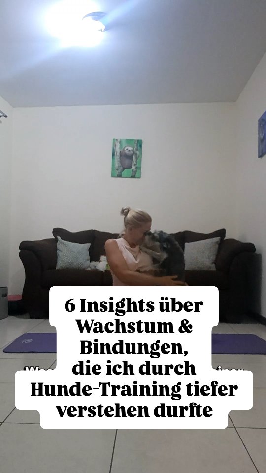 Was mich das Training mit meiner Hündin über Wachstum und Bindung gelehrt hat …
1️⃣ Erfolge dürfen gefeiert werden.
Die großen – und vor allem die kleinen.
Jeder Mini-Schritt zählt.
Wenn wir Fortschritte sehen und würdigen, entsteht Motivation. Und genau die brauchen wir, um dranzubleiben.
2️⃣ Klare Kommunikation schafft Sicherheit.
Nicht einfach viel sagen – sondern verständlich, stimmig und ehrlich sein.
Unklarheit verunsichert.
Klarheit gibt Orientierung.
3️⃣ Entwicklung passiert Schritt für Schritt.
Erst die Basis.
Dann der nächste kleine Baustein.
Nachhaltiges Wachstum entsteht nicht durch Druck, sondern durch Wiederholung und Sicherheit.
4️⃣ Das Nervensystem entscheidet, ob Lernen möglich ist.
Unter Druck gibt es vielleicht Anpassung – aber kein echtes Wachstum.
Sicherheit und Verbindung öffnen den Raum für Entwicklung.
5️⃣ Motivation braucht ein Warum.
Warum tun wir das?
Wofür lohnt es sich?
Wir investieren Zeit und Energie – dafür brauchen wir Sinn. Und kleine „Belohnungen“ auf dem Weg.
6️⃣ Geduld heißt, ehrlich zu schauen:
Wo stehe ich heute?
Nicht da, wo ich sein sollte.
Nicht da, wo andere sind.
Sondern hier.
Die Lücke zwischen „hier“ und „dort“ kann verunsichern – aber Wachstum passiert auf der Reise, nicht erst am Ziel.
🌺 Jeden Tag neu:
Was brauche ich heute?
Was ist heute möglich?
Für mich ist das längst mehr als Training.
Es ist Beziehungsarbeit.
Und eine tägliche Erinnerung daran, dass Entwicklung nicht erzwungen wird – sondern begleitet. 💛🐾
❓️Welcher Punkt spricht dich gerade am meisten an?