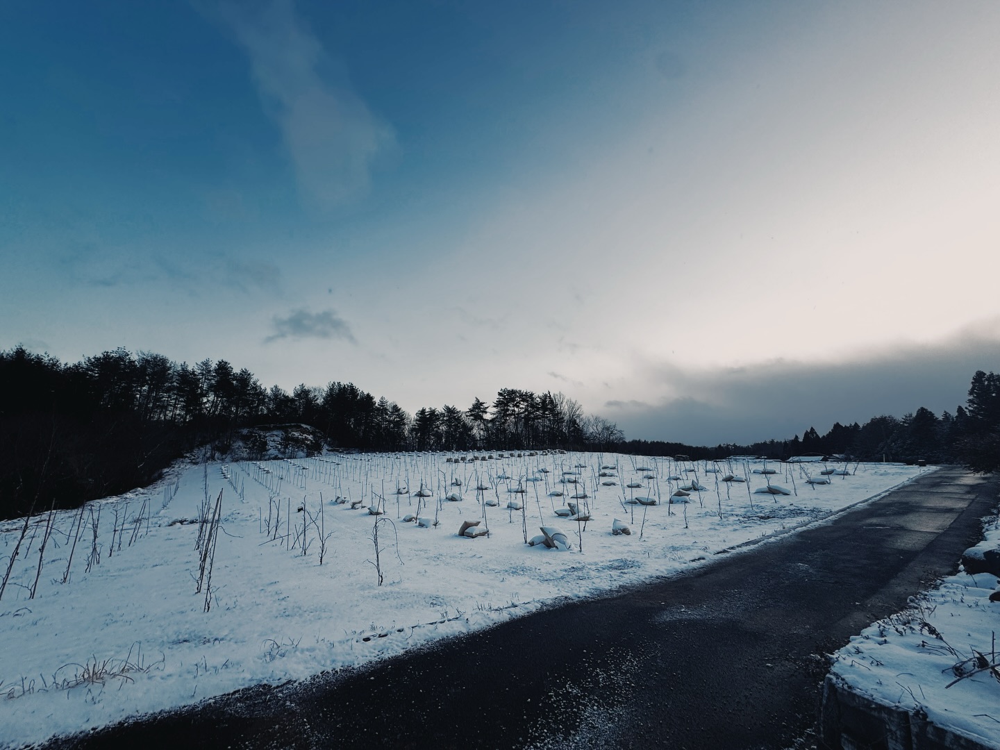 
もう二度と訪れることのない風景に.
【莉蕾|ReLive vine】
岡山県高梁市でぶどう農家をしている @itsuki_ll が、ワインの風景を歩んでいく日々を記録。現在樹齢と研修二年目。蕾から美しい花実が生まれるように、いつの日か、この日々が、ワインやその先の風景に繋がっていくようにという祈りを込めて「莉蕾(りらい)」と名付けた。
ReLive vine with @itsuki_ll documents the daily life of a grape farmer in Takahashi City, Okayama, Japan, as they walk alongside wine. Currently in the 2nd year of both vine age and training, the hope is to one day create grapes and wines that evoke the memory of the landscape. With a prayer that this will eventually lead to an unrecognizable landscape, the endeavor was named "ReLive vine".
#ワイン #農家 #醸造 #ぶどう #農業 自然 秋田犬 甲斐犬 岡山 日本の風景 Wine Winemaking Grapes Farming Nature Akita KaiKen JapaneseLandscape Vin Vinification Raisin Agriculture ChienAkita ChienKai
