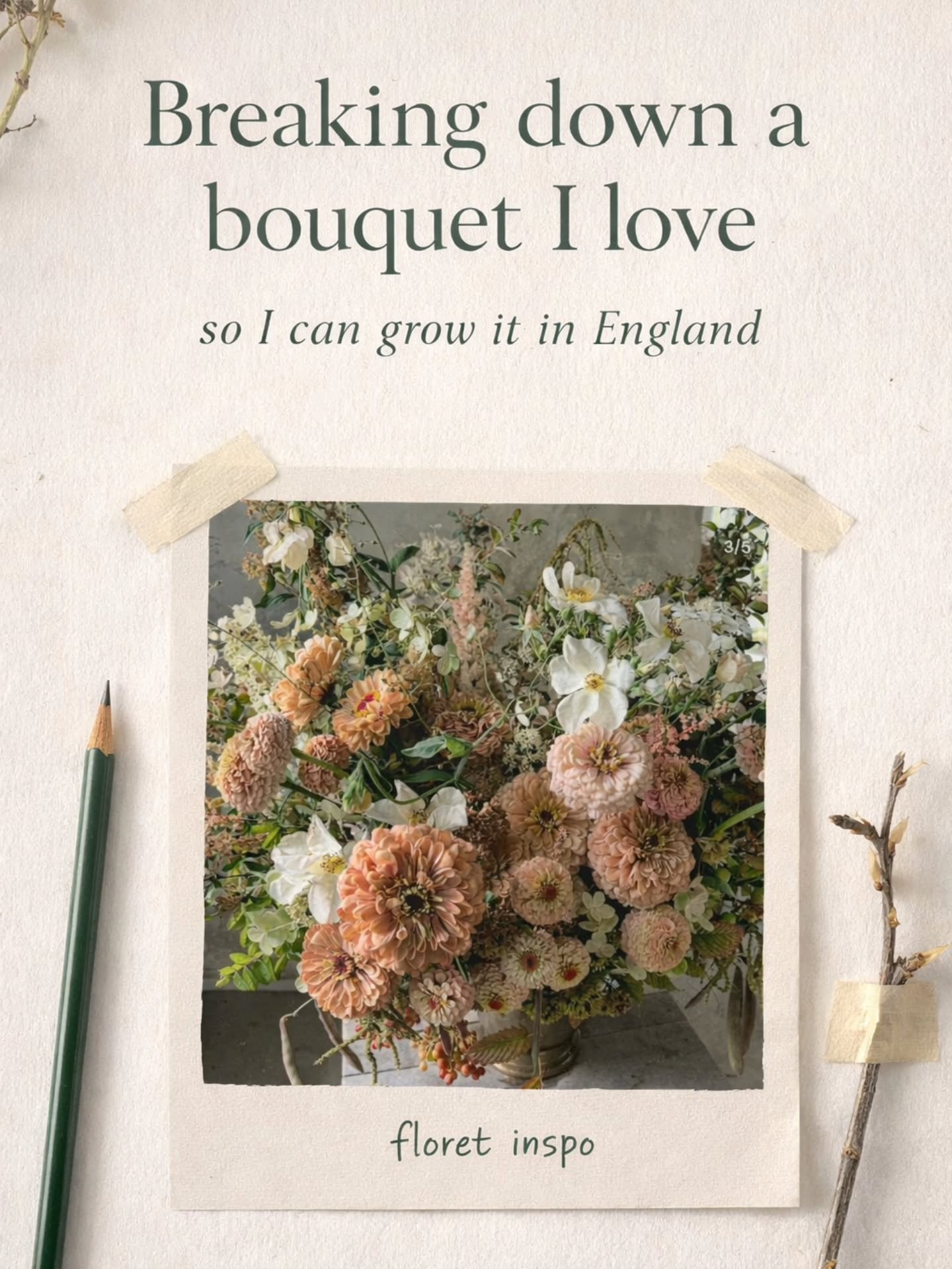 Couldn’t stop thinking about this @floretflower
bouquet, despite the never-ending rain lately.
I'm loving the use of white with the creams and peaches and adore the unkempt luxury look of this creation.
So I pulled it apart to work out how I might grow the feel of it here in England.
Which replacements would you make? I'm thinking Japanese anenome (wildflowers) for the white single roses...
We actually love zinnias so if we stuck with them, which UK-available zinnias would you say come closest to these?