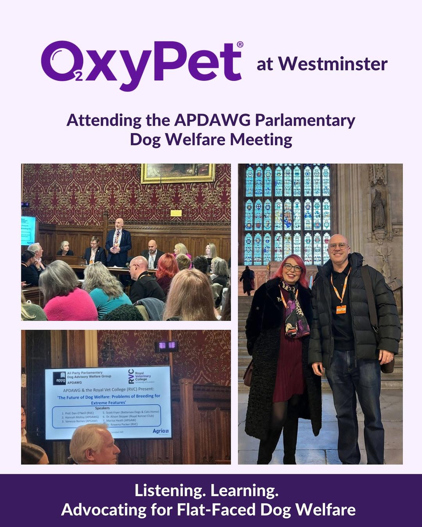 On Tuesday, 27th Jan, Karla Pearson and Lindsey John Taylor of OxyPet were invited to attend a Westminster meeting of the All-Party Parliamentary Dog Advisory Welfare Group (APDAWG), a packed session in the Houses of Parliament focused on the growing welfare problems linked to extreme breeding in flat-faced dogs such as pugs and French bulldogs.
The session, titled The Future of Dog Welfare: Problems of Breeding for Extreme Features, brought together policymakers, scientists, welfare charities and industry voices amid mounting concern that exaggerated physical traits are leaving thousands of dogs struggling to breathe, exercise and live normal lives.
This was about flat-faced breeds, a topic close to Lindsey and Karla’s hearts.
Speakers on the night included representatives from The Kennel Club, the Royal Veterinary College, and Battersea Dogs and Cats Home, each outlining the scale of the problem and the urgent need for reform across breeding, purchasing, and public awareness.
Our reason for attending was to listen, learn and move forward on the welfare of these breeds now, today. We were curious about what was being discussed about the struggles these breeds face today and future legislative proposals.
Karla says,
“For me, it’s about educating potential owners before they consider buying these breeds and how to look for a breeder that has done all of the right things to ensure their pups are as healthy as possible. This isn’t just about the health of the dog; it’s about the human impact that caring for one with huge health issues has.”
As MPs and experts consider the future of dog welfare in the UK, Lindsey and Karla agree,
“It is vital that the voices of both science and lived experience are heard so we can reduce the suffering of flat-faced breeds”.
Lindsey points out that: “Good education stops suffering and enhances lives, both human and dog relationships, and that’s something we feel strongly about. We see OxyPet playing a very important and supportive role in these dogs’ hydration, making their lives happier and healthier.
We met some great people wanting to make a positive change for these underdogs, and we look forward to going back.”