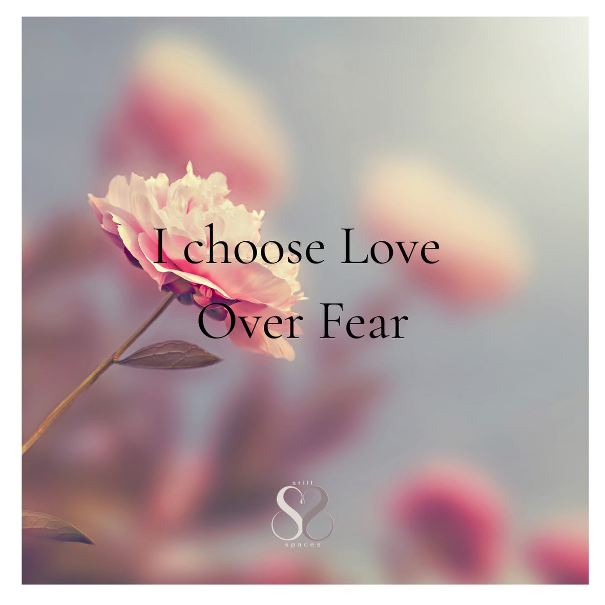 Fear is energy, love is energy. Choose love over fear 🌸💗🌸 #stillspaces_ #selflove #positivevibes #affirmations #selfcare