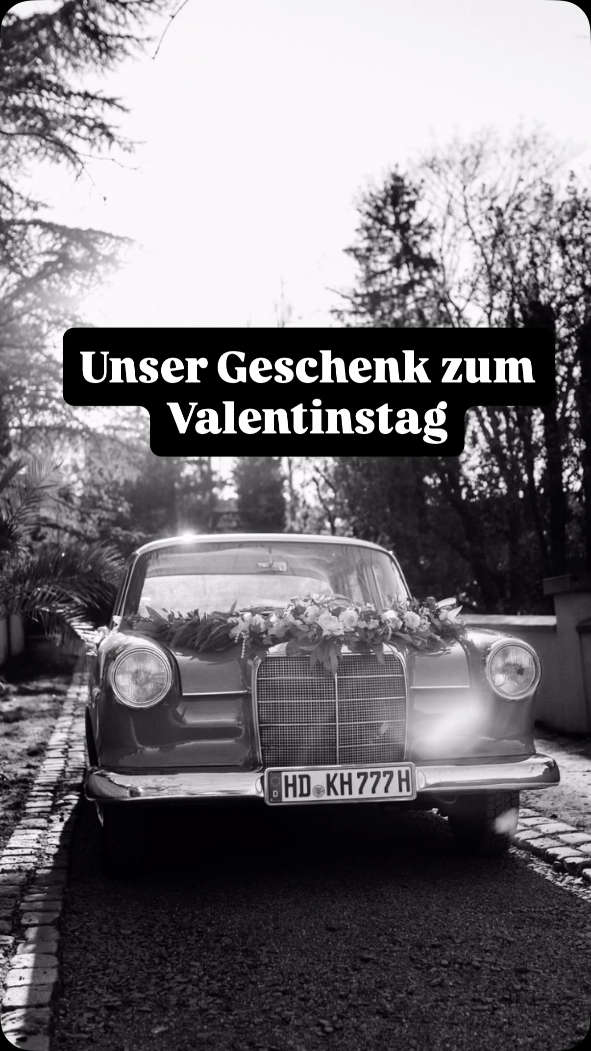 ❤️ Happy Valentine’s Day ❤️
„DeinBrautauto“ wünscht euch einen wundervollen Tag voller Liebe, Glück und unvergesslicher Momente! 💍✨
An alle, die sich heute verloben:
Wir haben da was für euch 😉🚗✨
Sichert euch jetzt euren Valentins-Rabatt – wir schenken euch den Blumenschmuck kostenlos zu eurer Buchung dazu! 🌸🤍
So einfach geht’s:
1️⃣ Diesen Beitrag liken
2️⃣ Diesen Beitrag kommentieren
3️⃣ Bis zum 21. Februar eine Anfrage über www.deinbrautauto.de stellen
Macht euren großen Tag noch ein bisschen besonderer – wir freuen uns auf euch! 💕🚘
#Valentinstag #Verlobung #Hochzeit2026 #Brautauto #deinbrautauto