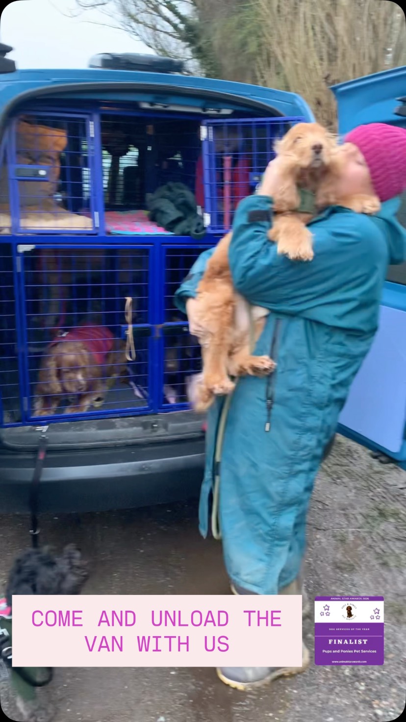 💙🐶 Come and unload the van with us…
Our morning group walks are great for getting your dog out the house for fresh air, exercise, meeting their friends and coming home to relax for the rest of the day.
#dogwalker #dogwalkergreatwakering #dogwalkerrochford #professionaldogwalker #dogwalkingservices