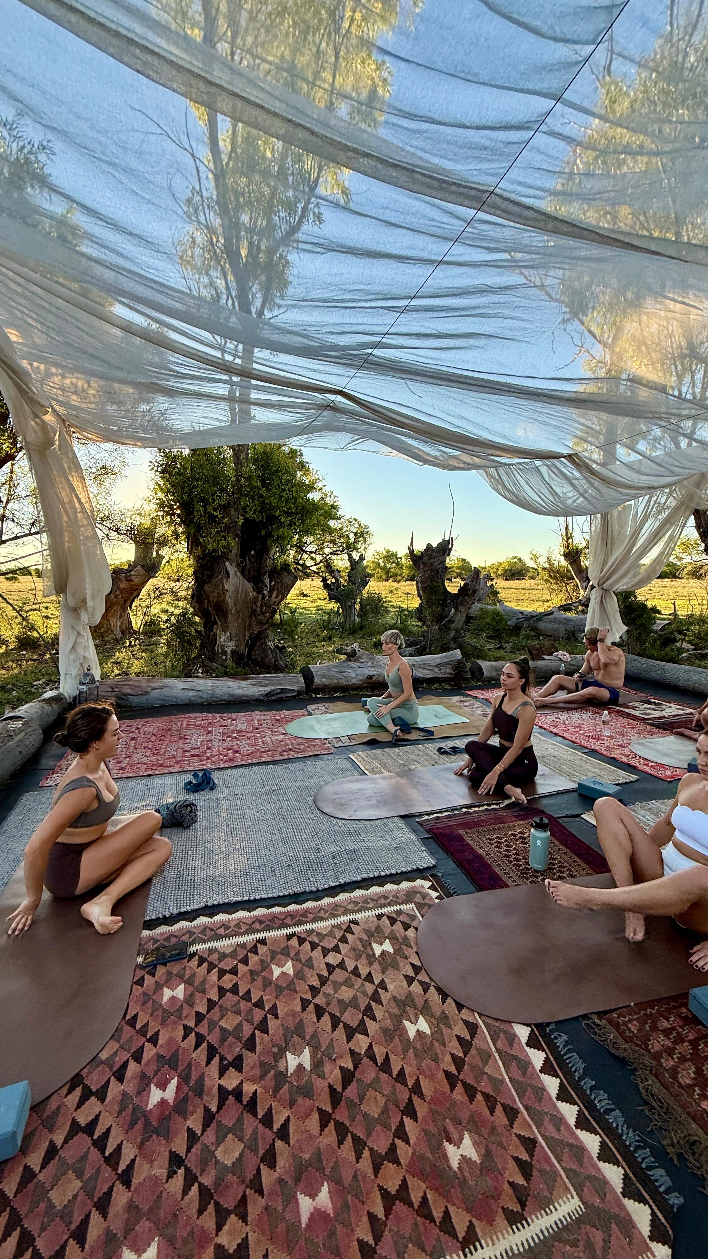 Nothing says ✨ nervous system breather ✨ like a morning flow in our bush shala overlooking our herd of Cape Buffalo 🐃