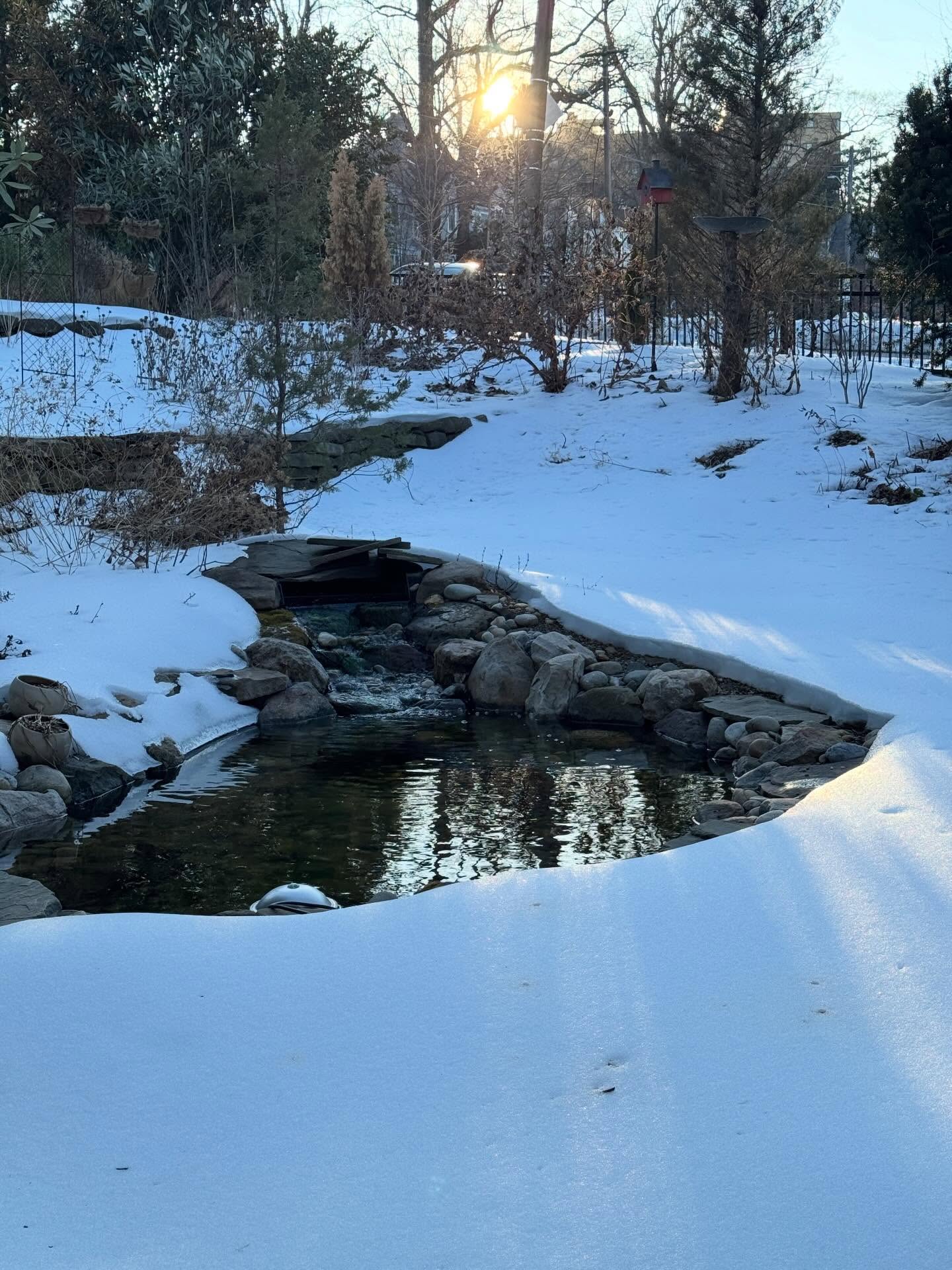 Tomorrow’s forecast doesn’t bode well for keeping this phenomenal warming blanket much longer but what a peaceful fortnight and a half it has been! #gardeningforthechesapeake