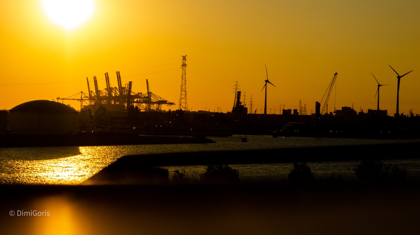 have adventures, and watch sunsets!
#dimispix #belgium🇧🇪 #sunsetgram #sunsets #photography #photooftheday #picoftheday #sunsetmadness #sunsetgram #sunsets_captures #sunsetphotography