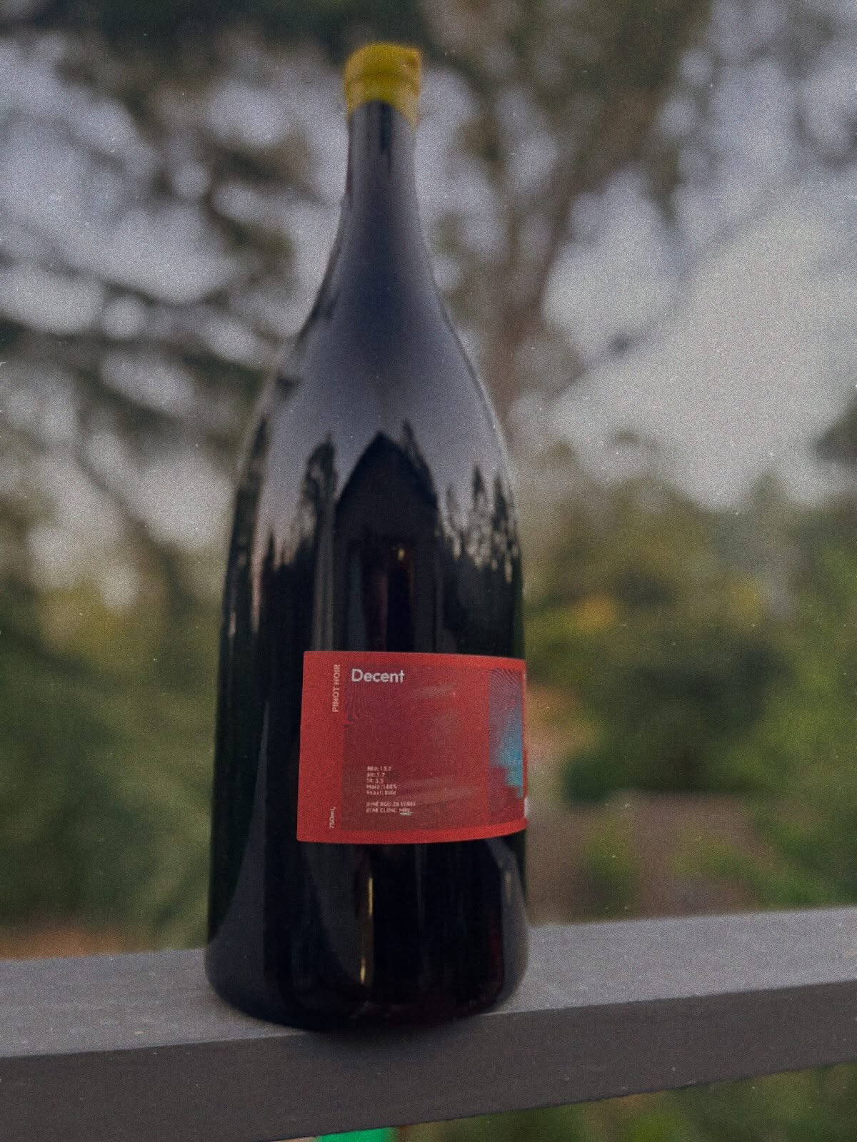 Fundraiser donations ✨✨✨
Thank you so much to everyone who has already been in touch and donating to my Longwood bushfire fundraiser!
A huge thank you to @decentwines decent wines for the HUGE donation of this HUGE bottle of wine! (Huge enough?)
Working in the wine industry and the Yarra valley I have made so many amazing connections and friends and I’m so grateful that so many of them are helping out for this event!
Grab your tickets now to see this bottle in person and potentially go home with it! Even more wine at the event to be won! (And other goodies!)
🍷🍷