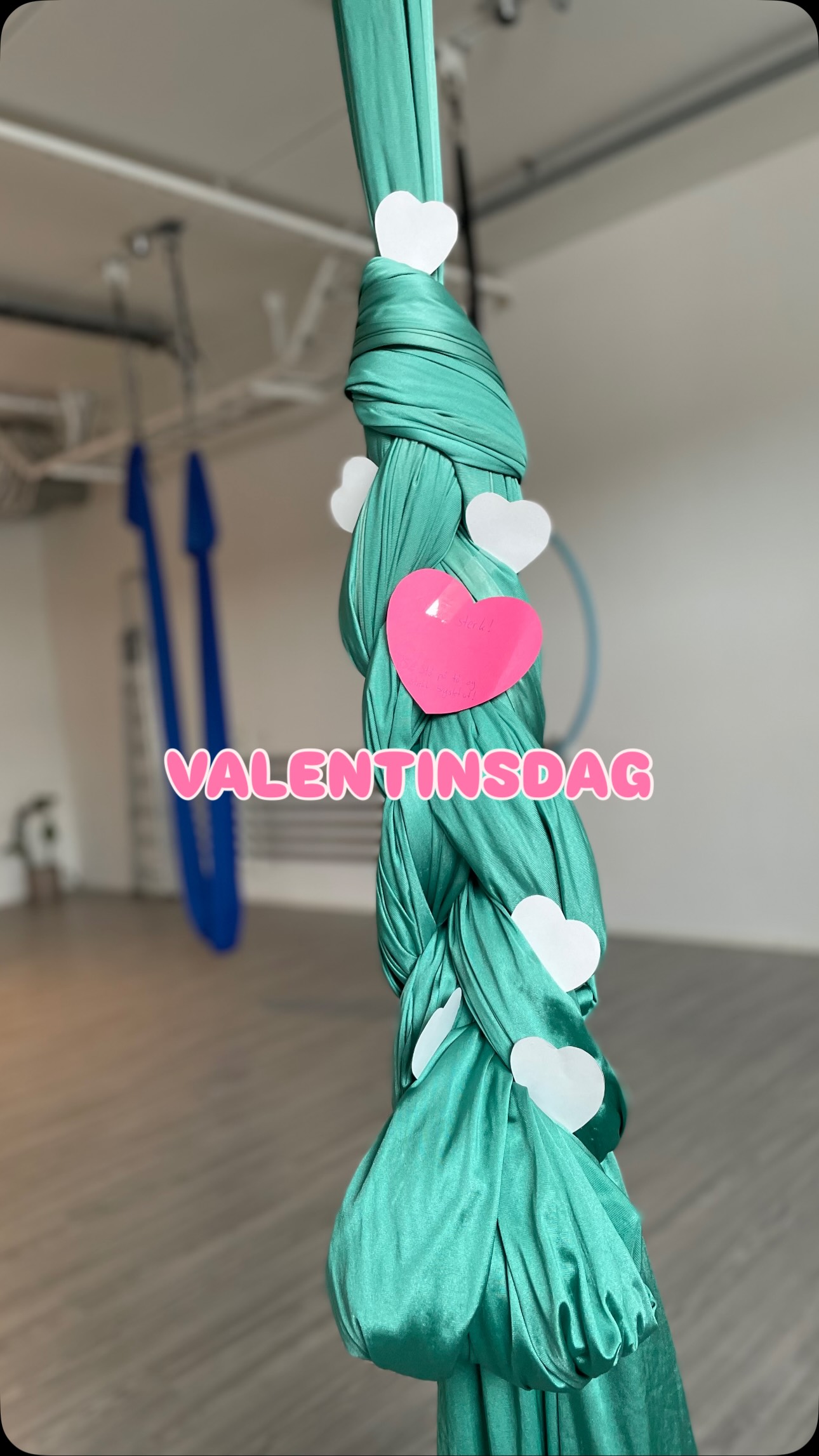 Kjærlighet er å heie på hverandre på og av stanga💕
#valentines