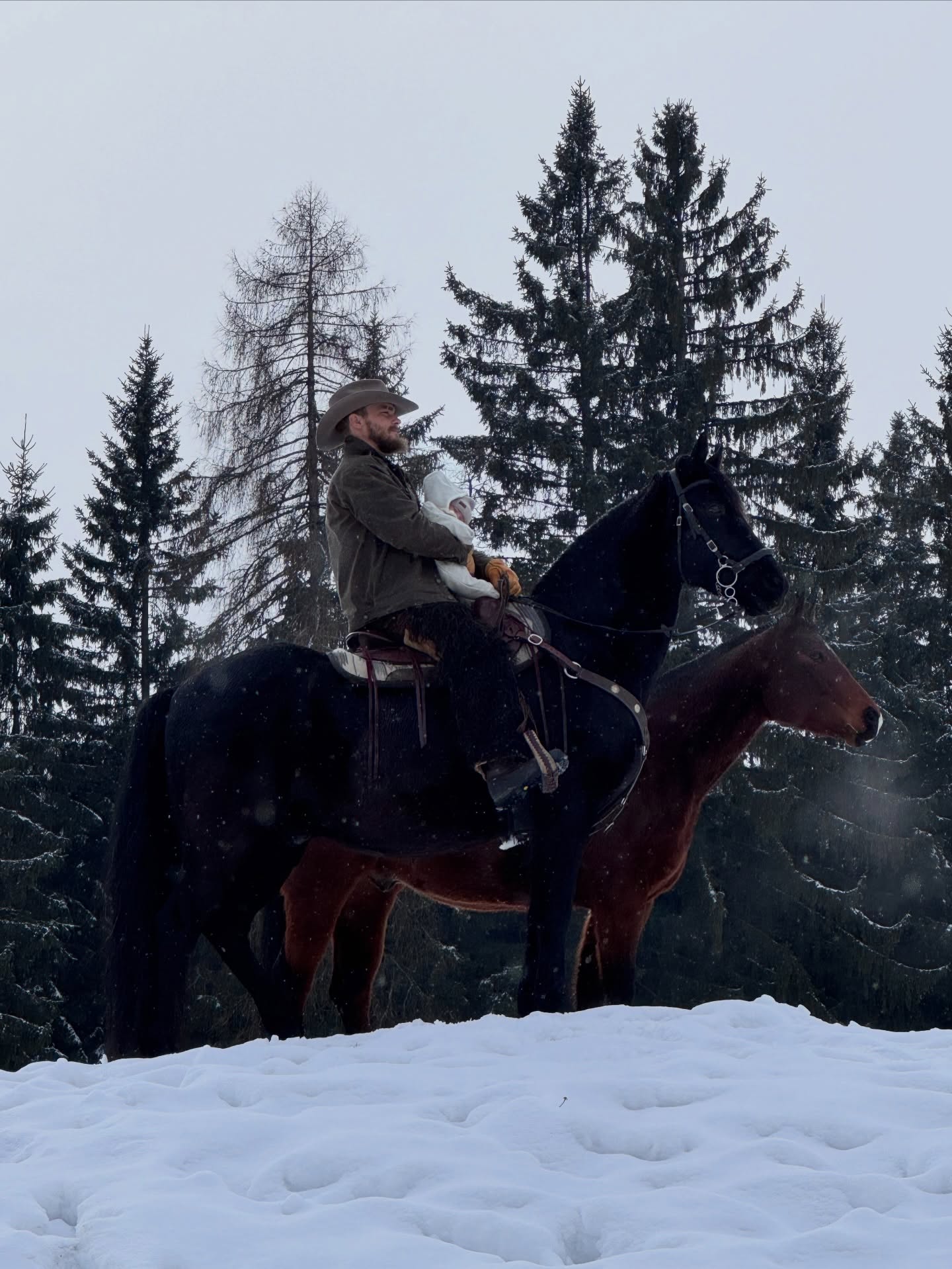 Kleine Hände, große Abenteuer.
Erster Ausritt mit meinem Sohnemann.
#ersterausritt #sohnemann #vaterundsohn #equestrian #naturelovers
