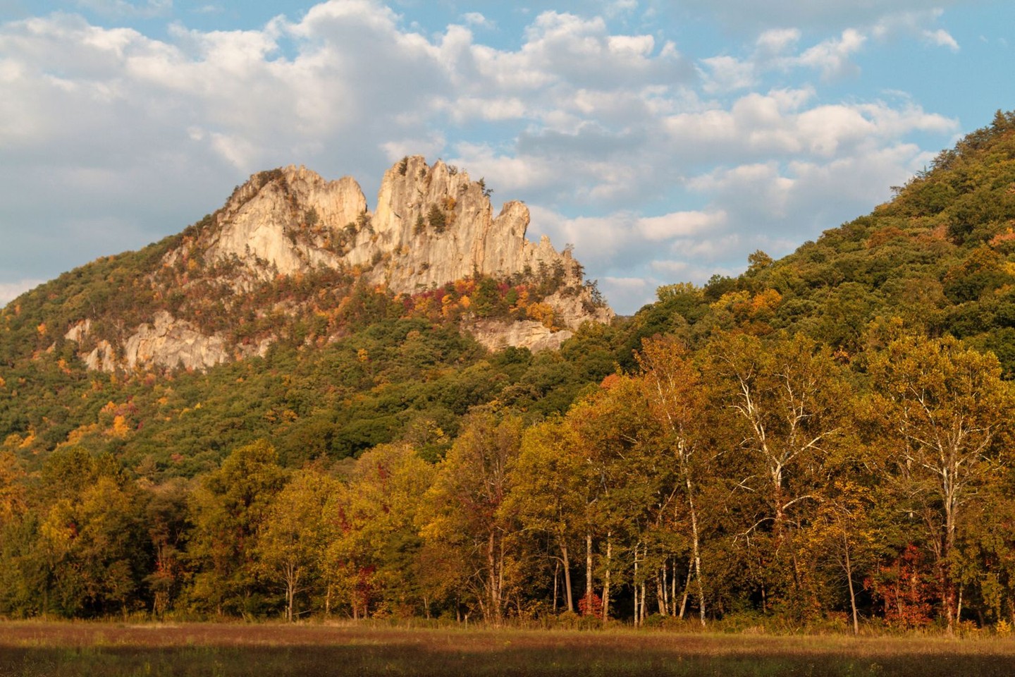 Dreaming of airy ridgelines and wild rock? 🧗♀️ From sheer fins to big valley views, Pendleton County’s cliffs are calling. Now’s the time to plan your spring climbs and hikes at Seneca Rocks 🌄📸 Where would you start your next route?