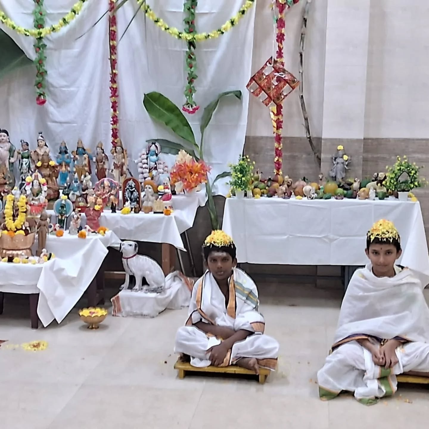 Sankaranthi celebrations at our Vollapalli Pathasala.
#kanchikamakoti #sankaranthi #sankaramutt #periyava #integratedpathasalas