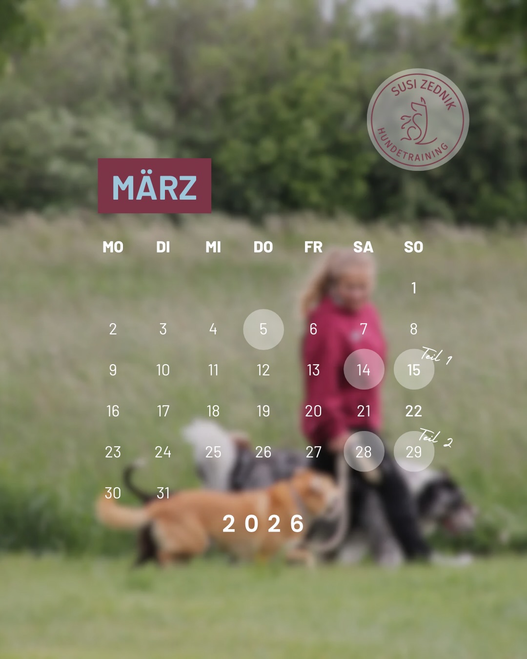März Termine 🌷
NEU: Live Webinar Zughundesport
Für alle, die einfach mal wissen wollen, was das eigentlich alles ist!
➡️ Du weißt noch nicht, ob das für euch passt?
➡️ Du möchtest einfach nur mal wissen, um was es bei dem Sport geht?
➡️ Du hast Fragen zum Start und traust dich noch nicht so recht an den Sport?
Im März stehen 2 Canicross Workshops an + wieder 2 Social Walks 🫶🏼
TRAINING
ZUGHUNDESPORT
HUNDETRAINING