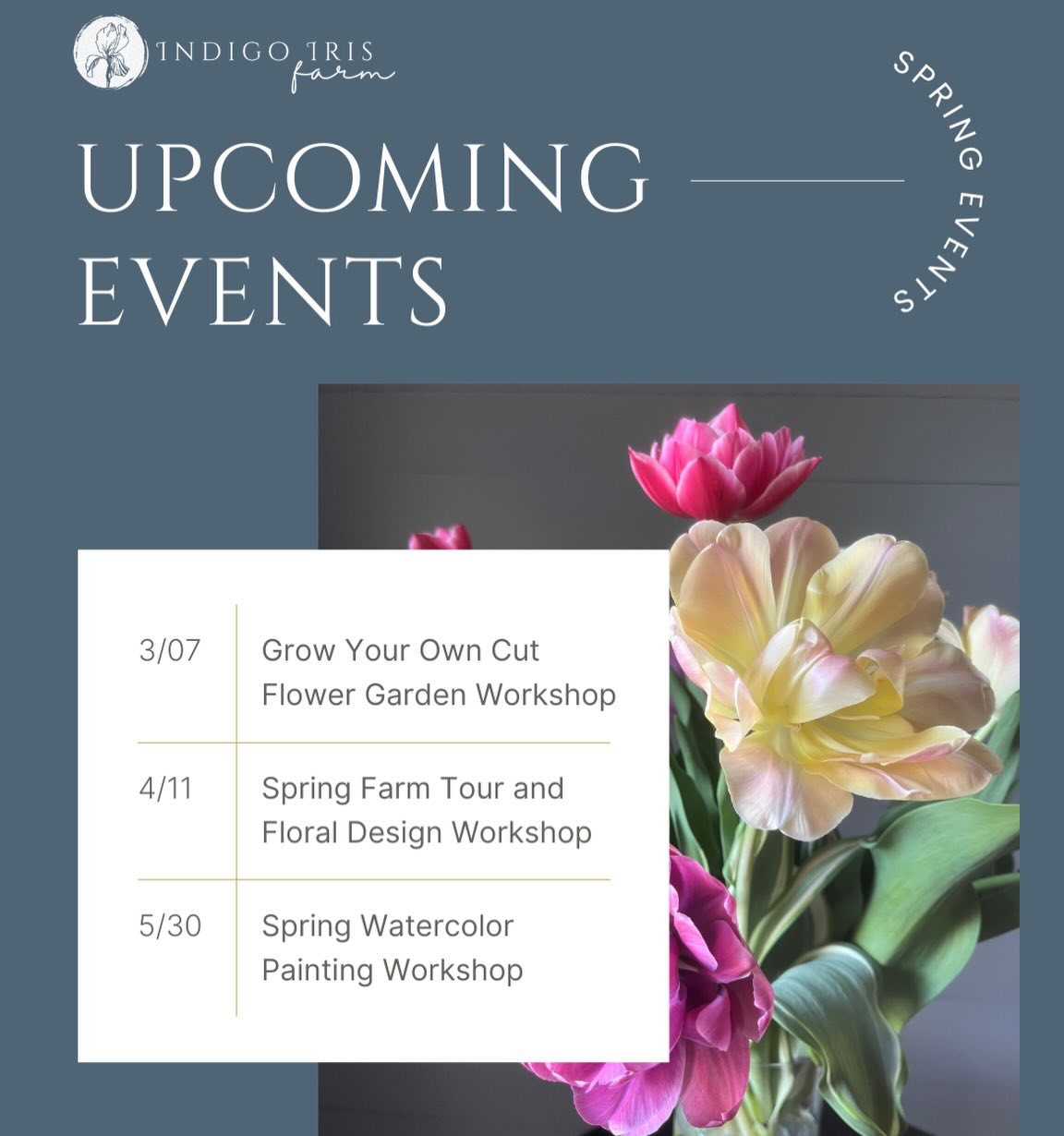 Save the date! We have some fun events at the farm planned for spring. Tickets are live on the website for our first ever Grow Your Own Cut Flower workshop!
If you’ve been dreaming of having your very own garden this is your chance to learn all you need to know in one afternoon. 💐