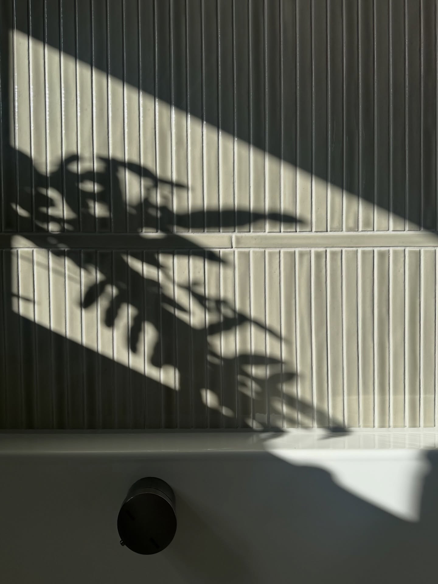 Allow natural light do the work. It brings out depth and character from this feature tile from @solusceramics in this modern bathroom.
#SolusTile #FeatureWall #InteriorDesign #ModernHomes #cardiffarchitect