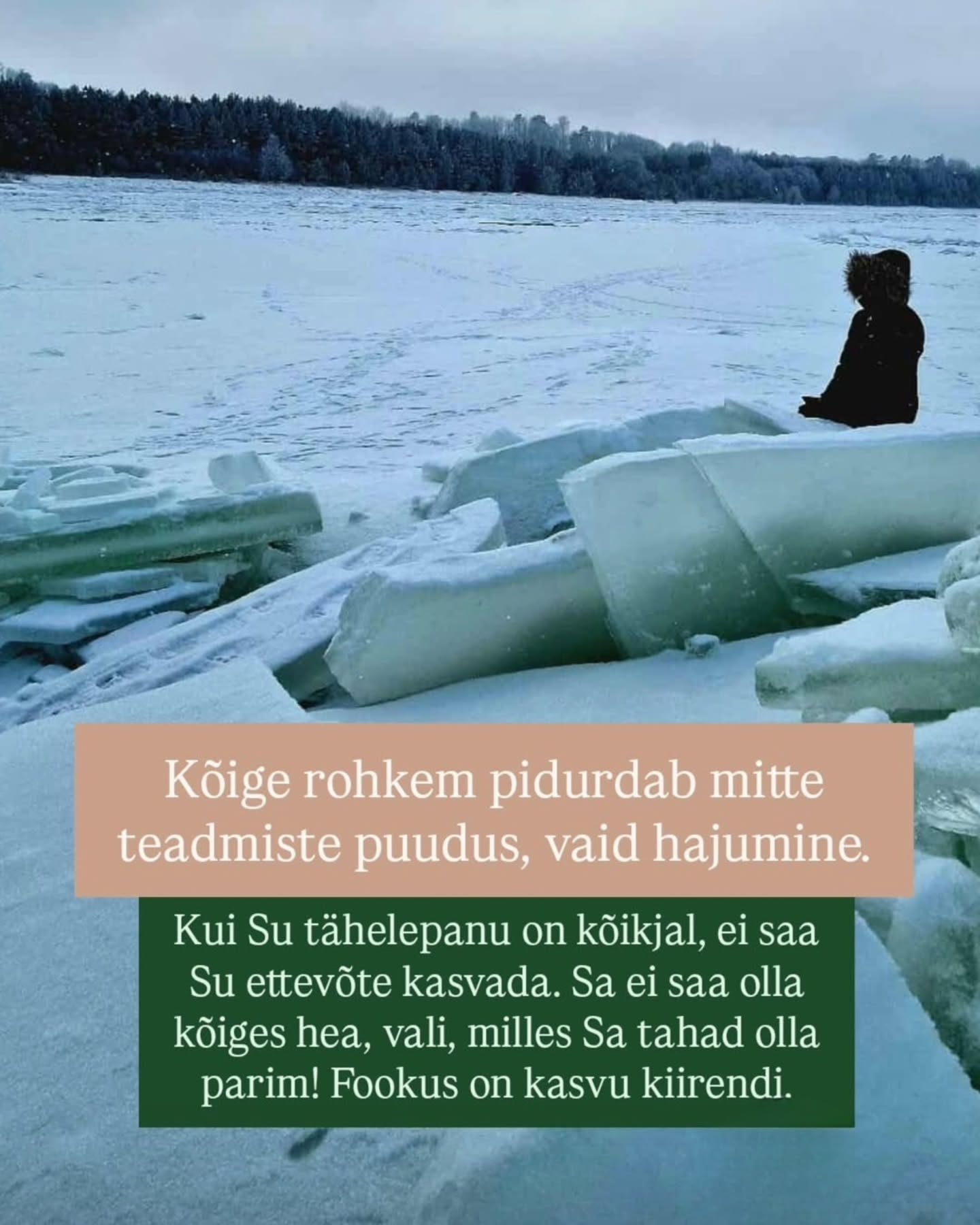 Kui Sa oled täna täiesti rahul,
ei tunne sisemist kutset kasvada
ja Sind ei kõneta teadlik eneseareng ettevõtjana,
siis see programm ei ole Sulle.
Aga kui Sa tunned, et miski siiski torgib…
💥 Kui Sa tead, et Sul on rohkem potentsiaali kui see, mida Sa praegu rakendad.
💥 Kui Sa januned selguse, fookuse ja sügavamate vestluste järele.
💥 Kui Sa tahad kasvada mitte ainult ettevõttes, vaid ka inimesena.
Siis kutsun Sind 3-kuulisse coachingu ja mentorlusega grupiprogrammi
„Järgmise taseme mina ettevõtjana“ 💥
See ei ole kursus.
See on:
✨ koos mõtlemine ja koos edasi liikumine,
✨ personaalsus - väike, kuni 6-liikmeline grupp (3 kohta on juba võetud - 3 veel vabad),
✨ fookus nii ettevõtte kasvul kui ka Sinu sisemisel kindlusel,
✨ iganädalased grupikõned + 2 individuaalset 1:1 coachingut,
✨ ruum, kus Sa ei jää oma küsimuste ja mõtetega üksi,
✨ külla tulevad oma ala eksperdid
Jpm põnevat ja väärtuslikku.
Eelmisel aastal tõstsin ma oma ettevõtte käivet 2,5 korda.
Mitte rohkem rabades – vaid luues selguse, hoides fookust ja tehes julgeid otsuseid. Ja sealjuures oli väga oluline samm > ümbritseda end inspireerivate inimestega. 🤩
Seda sama teekonda aitan ma nüüd luua ka Sinul.
🚀 Stardime 16.02 > Intensiivne 3 kuud + 2 kuud järeltoetust.
Kui Sa tunned, et see võib olla Sinu järgmine samm,
siis kirjuta mulle „JÄRGMINE TASE“ või broneeri tasuta 40-minutiline selguse kõne.
Kõne ei kohusta Sind liituma.
Aga võib anda Sulle vastuse, mida Sa oled oodanud.
Sinu ettevõte saab kasvada ainult nii palju, kui Sina lubad endal kasvada. 💚