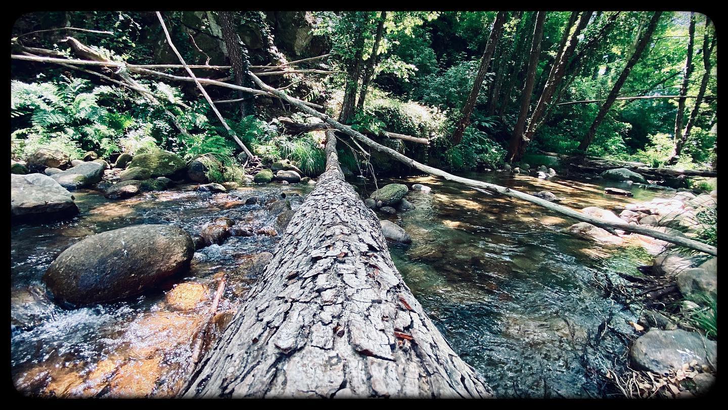 Desconfinamiento. #rios #monfragüe #yuste #vacaciones #holidays #summer #aguafría #pasarunratoencalma