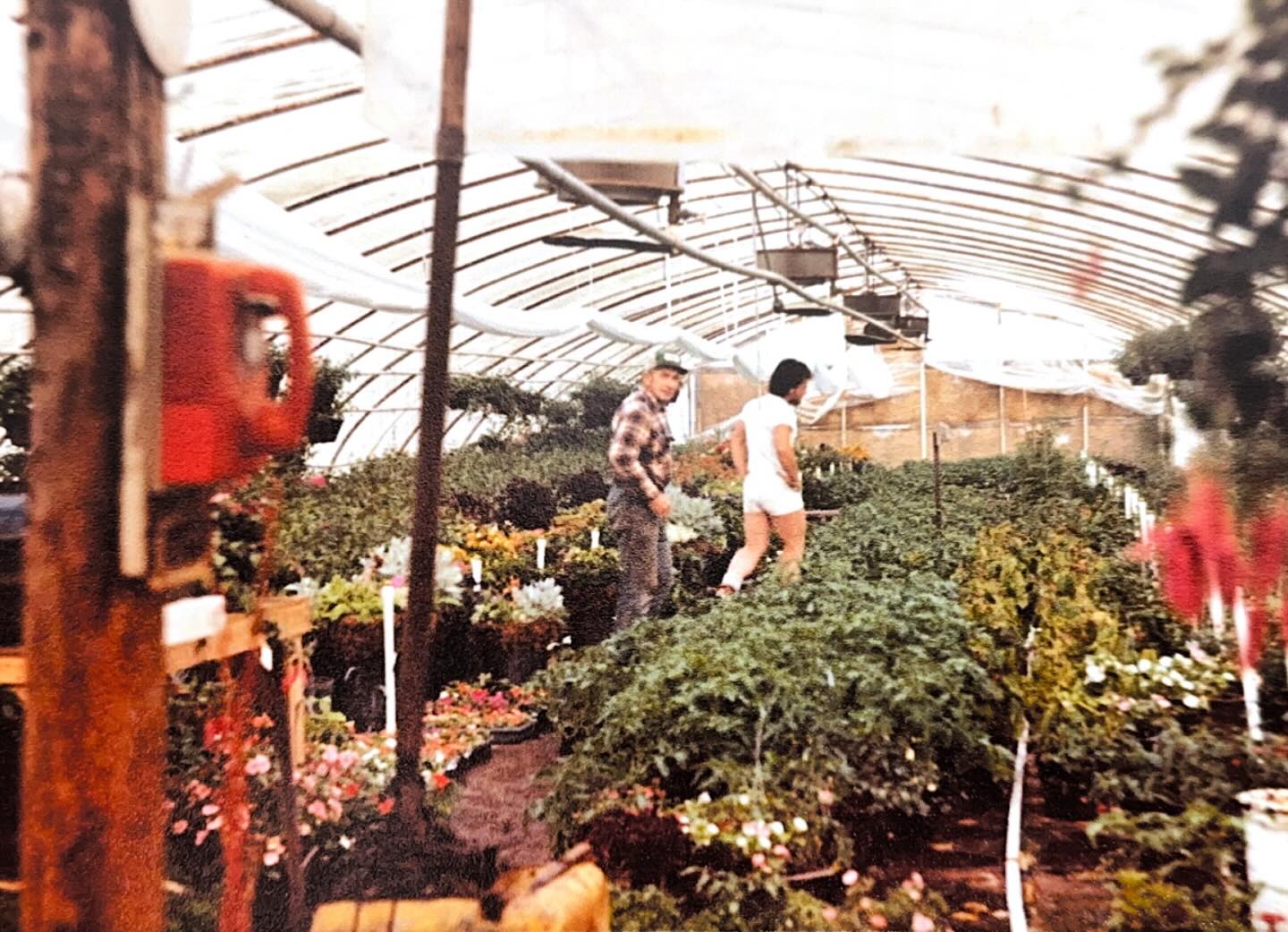 Throwback Thursday! Pictured is Jack Ward and his son David. Look at those shorts! See the old red phone? That was the office phone where orders were placed. It happened to be right next to the pump so it was very difficult hear! Circa early 1980’s.