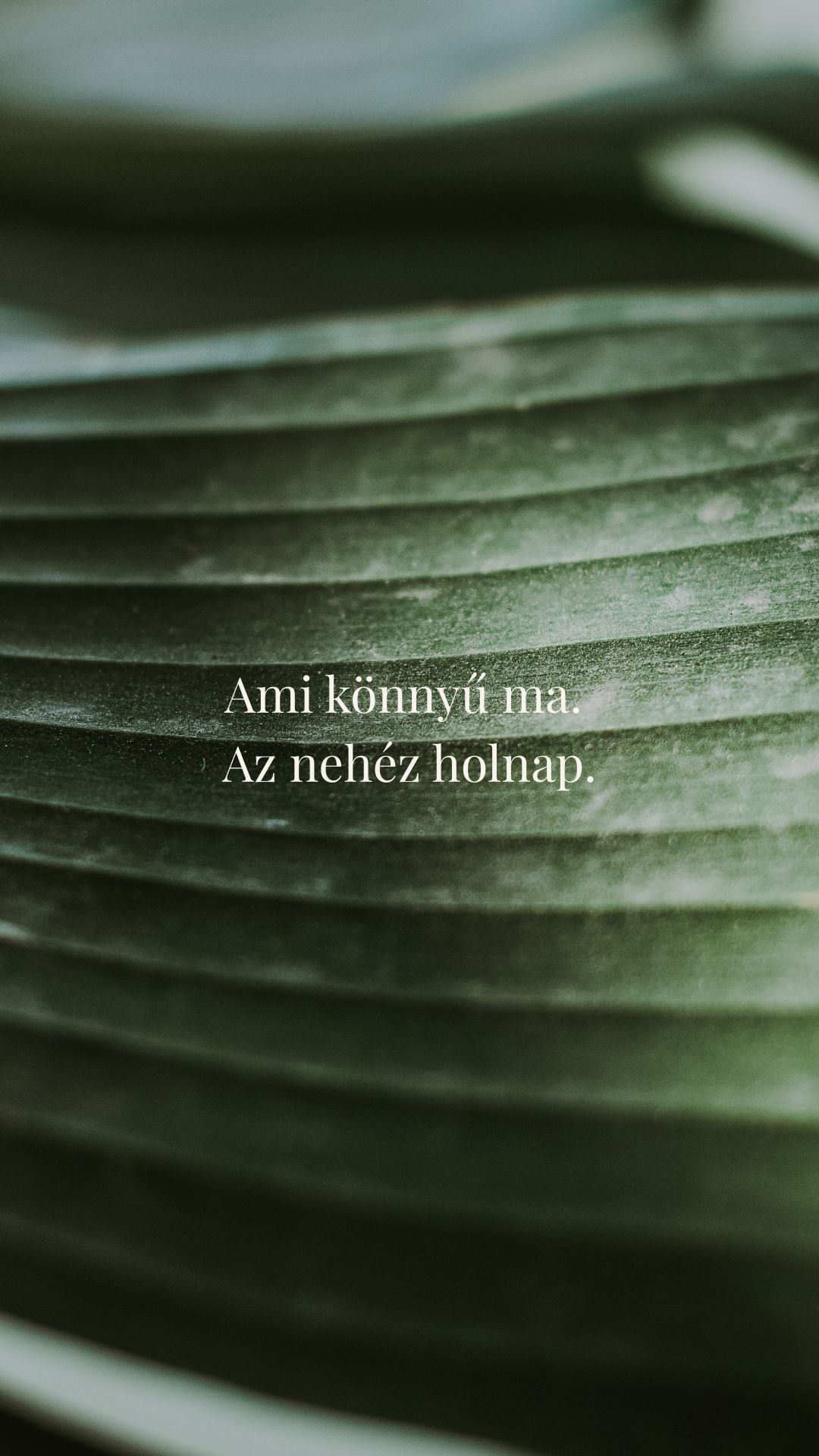 Kis döntések. Nagy következmények.
Minden reggel választasz:
Szundi gomb vagy reggeli rutin? ☀️
McDonald’s vagy 30 perc főzés? 🥗
Netflix vagy mozgás? 📚
8 óra ülés egyben vagy óránkénti 10 perc szünet? 🧘♀️
Az egyik könnyű most.
A másik könnyű 10 év múlva.
A tested nem hazudik.
Amit ma megteszel (vagy épp nem teszel meg) azt 10 év múlva fizeted meg.
Kiégés vagy energia?
Fájdalom vagy erő?
Káosz vagy nyugalom?
A döntés mindig a TIÉD 💚
De emlékezz:
Ami könnyű ma, az nehéz holnap.
Ami nehéz ma, az könnyű holnap.
Melyiket választod ma? Írd meg kommentben! ⬇️
Mentsd el emlékeztetőnek! 🔖
#jóganőknek #öngondoskodás #tudatosság #egészségeseletmod #önfejlesztés