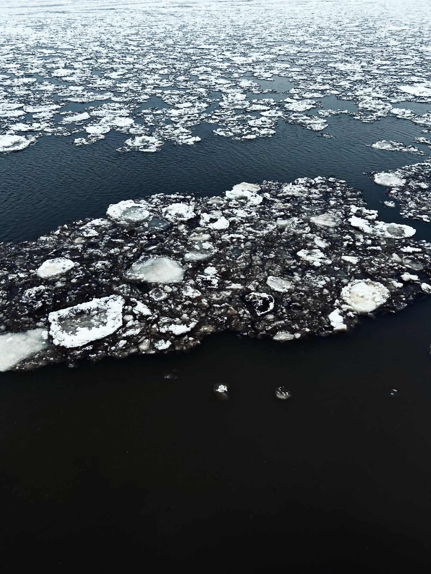 Eisdiamanten auf der Elbe