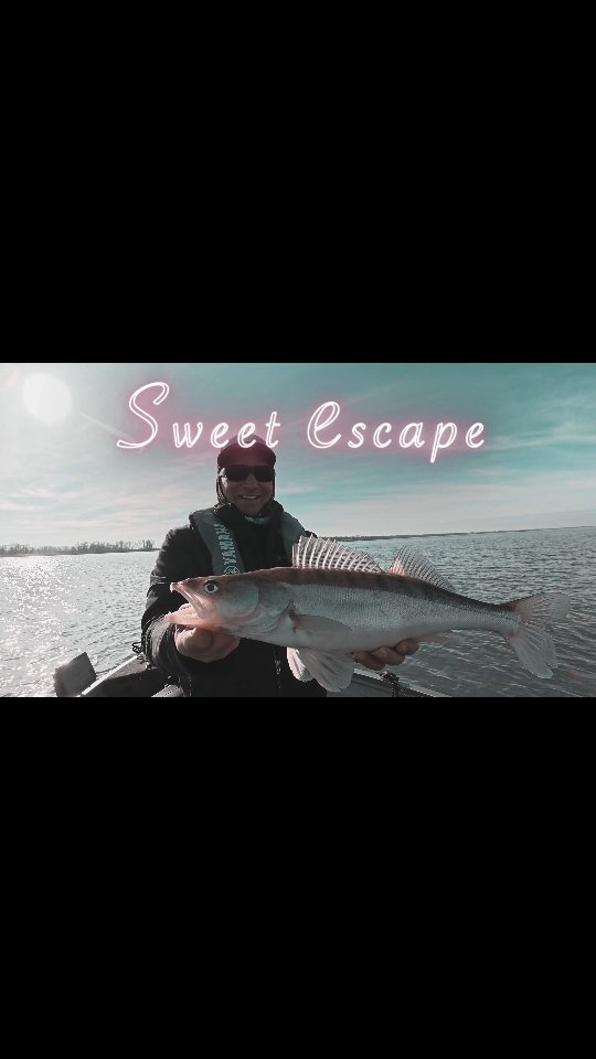 Zanderangeln am Hollands Diep im Winter. Besser geht nicht 😎
#yamahaprofishing #batterylabs #stcroixrods #spro #delalandepeche