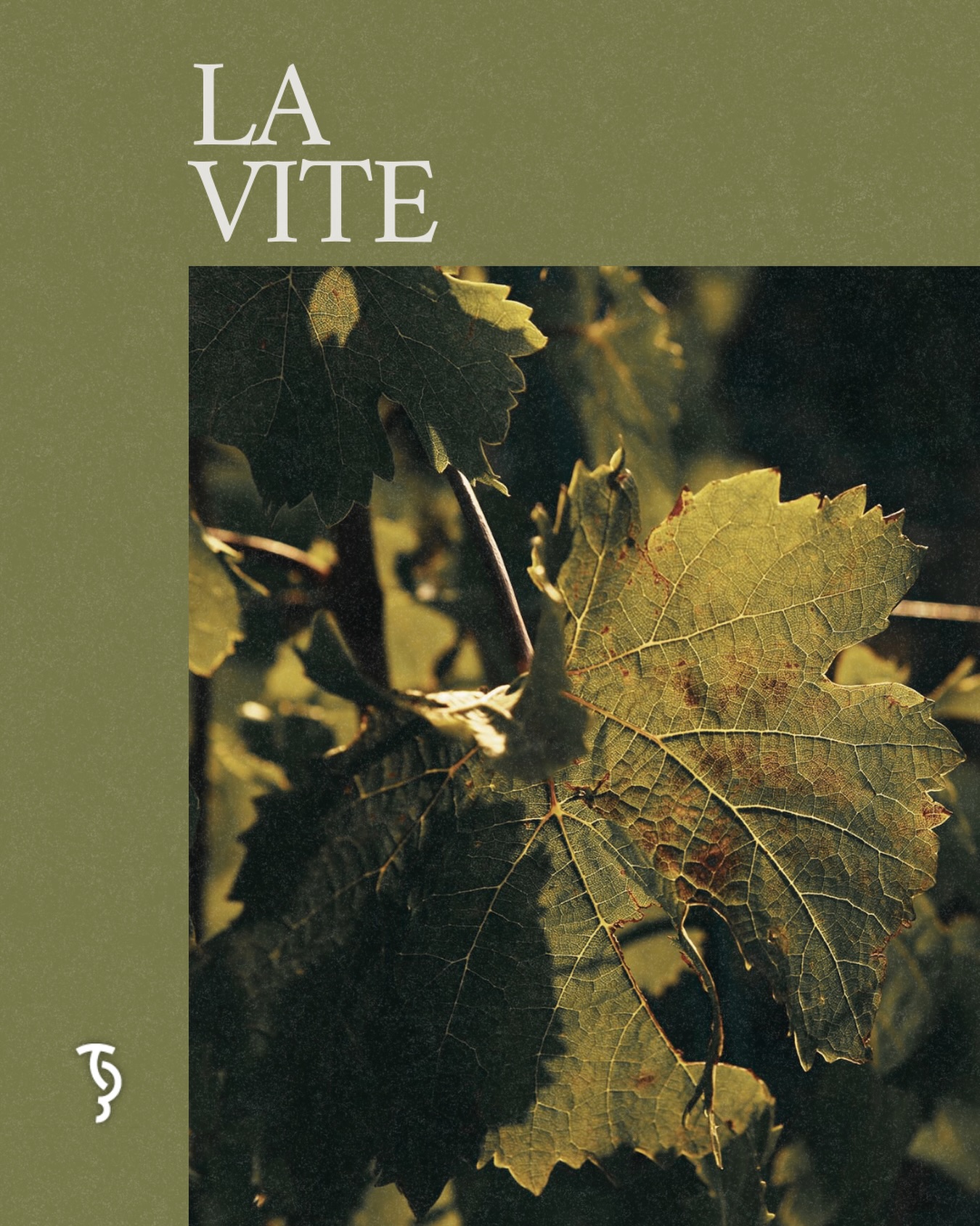È seguendo il dialogo silenzioso tra uomo e natura che prendono forma viti forti, capaci di raccontare la loro origine con semplicità e carattere, dal primo gesto fino alla bottiglia.
📍Via Nino Tesoriere 7 | Castellammare del Golfo
📞327 9523280
#febbraioinvigna#vite#viticoltura#territorio