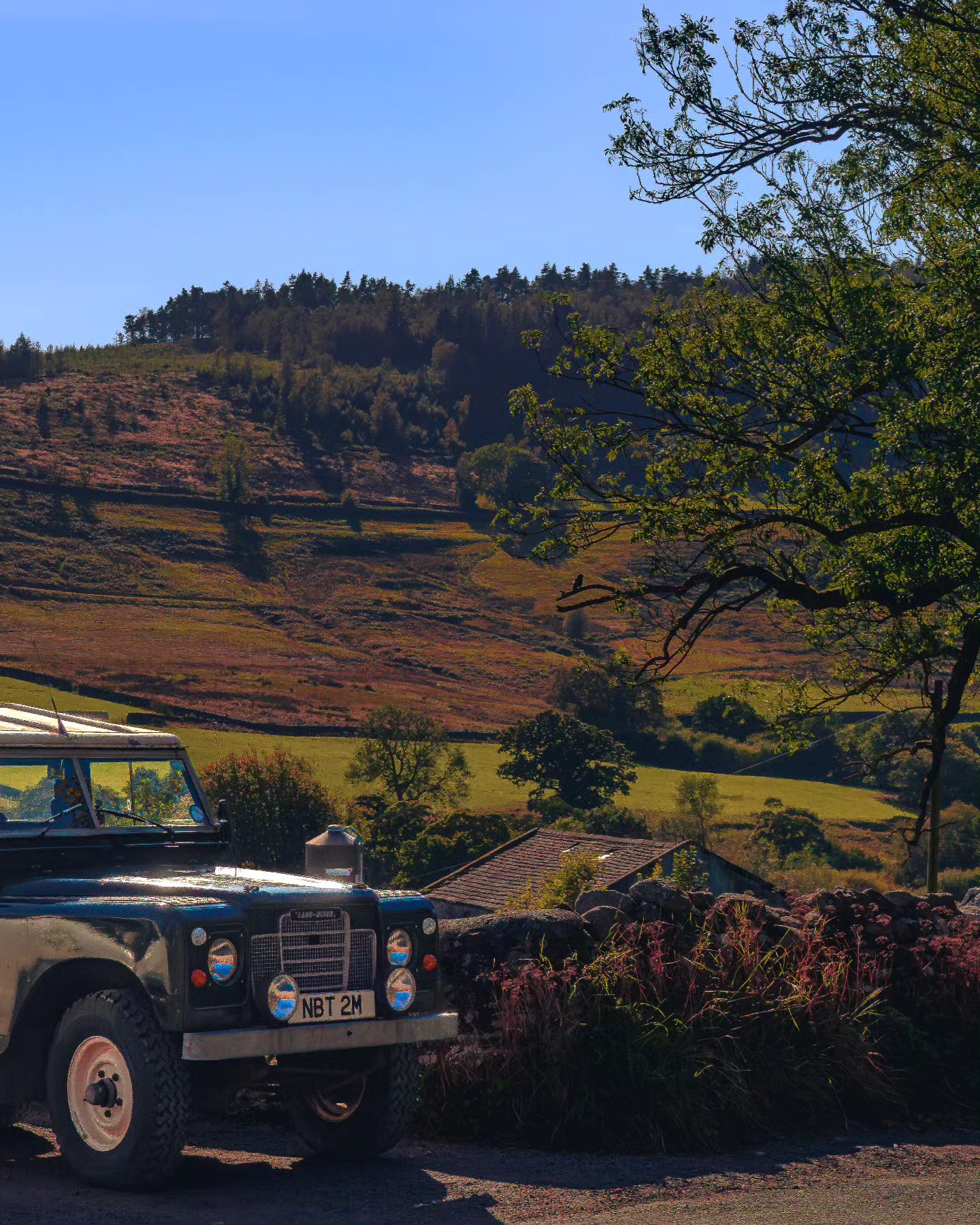 Autumn hills ๐๐ค
#landscapephotography
#naturephotography #autumnphotography