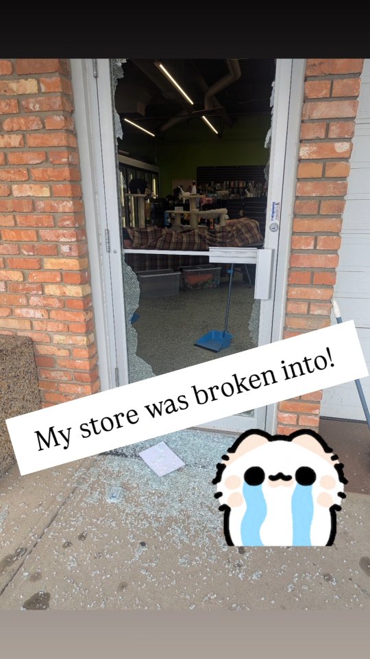 I know this kind of thing is not new to business owners and I have to admit, I'm lucky this is the first time in almost 6 years it's happened.
It still stings. I still have a deductible to pay for my insurance claim that could have gone into more inventory for the store. I still feel like a small part of me has been violated.
People I am grateful for:
- my husband and mother, for installing a temporary plywood door for me on Monday afternoon
- the individual who called the police when he noticed the glass was broken
- the two police constables for their patience and kindness while I babbled at them during my statement
- my customer, DJ, for his recommendation for the repair
- Sportcon Glass Inc. for responding so quickly to get us a new pane of glass installed
- my staff, always 💜 Their support keeps me coming back
Businesses everywhere are having a hard go of it right now. Whether its slower sales, complications getting products in stock from the states or issues like break-ins and theft, it's hard to own a small business. If you have a favorite little coffee shop, boutique store, restaurant, pet shop etc. making one purchase this week with them instead of at a large franchise/warehouse/bulk business WILL make a meaningful difference for them. Supporting locally owned businesses by making a purchase, joining their newsletter, following them on social media or sharing them with a friend goes a long way. Thank you. 💜
#yeg #yegbusiness #smallbusiness #supportlocal #petstore
