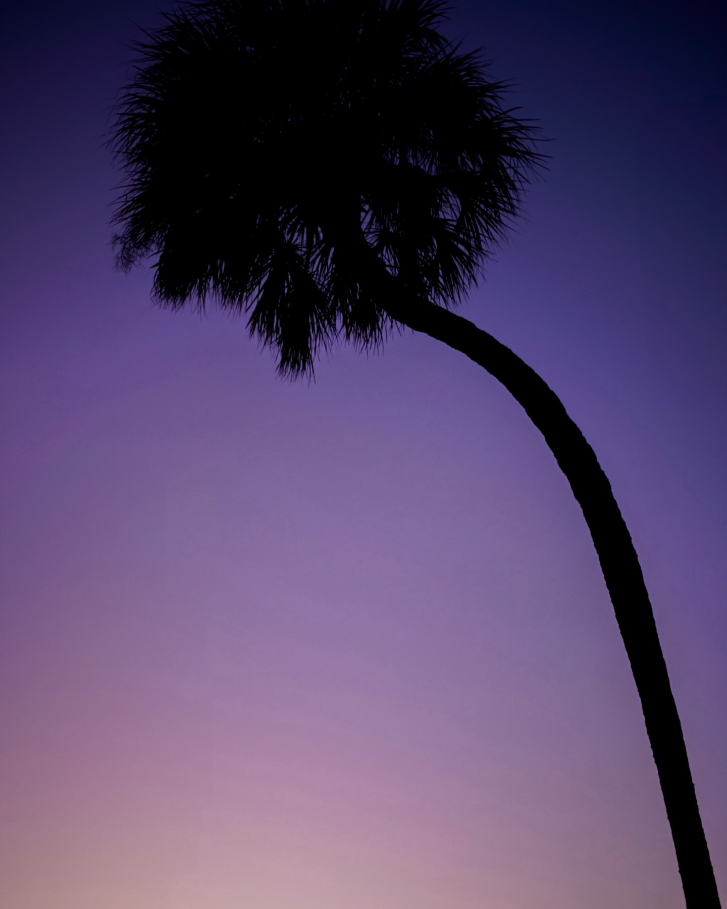 “Life’s short. Get out there and live it” #tonightssky