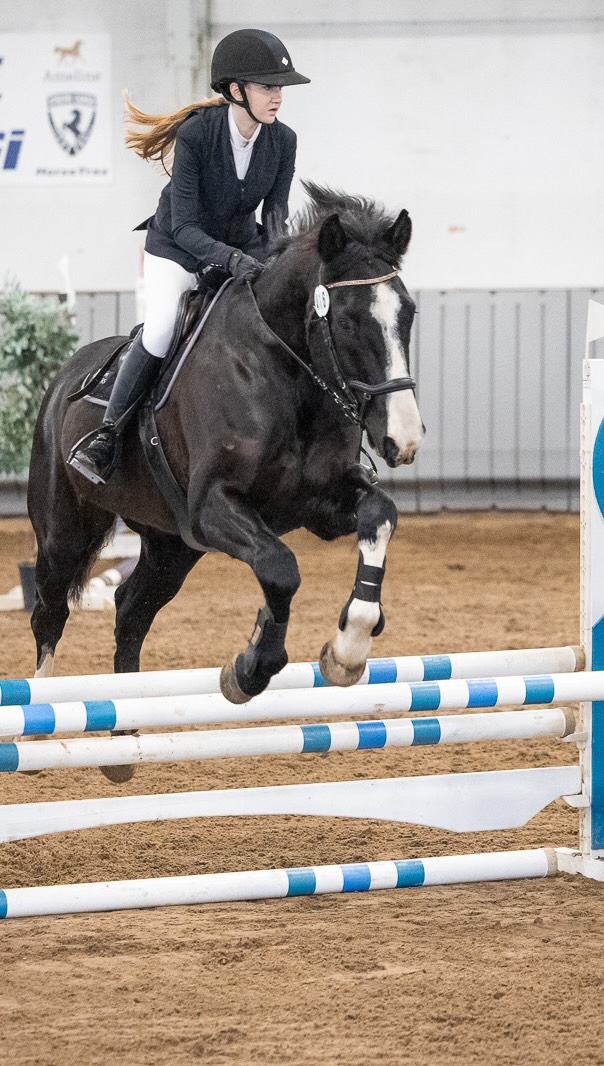 Hihsissä nähdään 😍
Meidän tiimi tänä vuonna Amateur Tourilla:
95cm
Stella ja Vini
Hertta ja Vinski
85 cm
Isabella ja Poppis
Vanessa ja Vinski
Enää pitää keksiä miten meidän pihattoasukit saadaan groomattua @helsinkihorseshow kuntoon 😅
Video: @heidilammiphotography