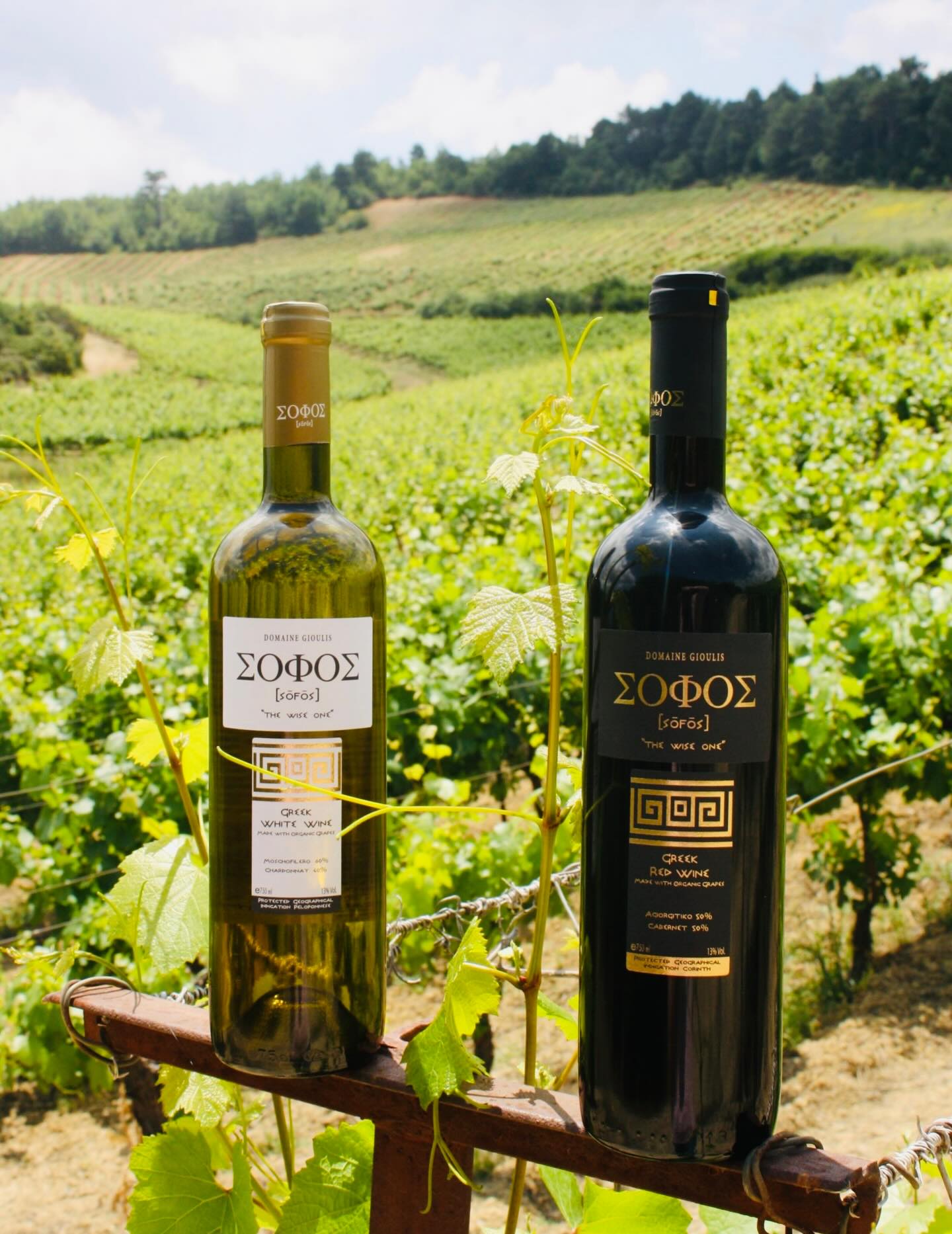 On Saturday May 30 we are hosting ‘A Tour Of Greece Through It’s Wine’ It’s a great opportunity to learn about the wines of Greece, gain some wine tips ready for your Greek holiday, or enjoy memories of the wine you drank whilst there. A wine tasting and talk, exploring seven Greek Wines, selected by Wine Specialist and Broadcaster, lan Erridge, author of acclaimed book - “Wine: It’s All Greek To Me” - accompanied by delicious Greek bites with each wine - made by award winning Chef, Broadcaster and Food Author, Alison Crouch. To book, visit www.wineanddine.org.uk/events - see link in bio. Please let us know if you have any allergies.