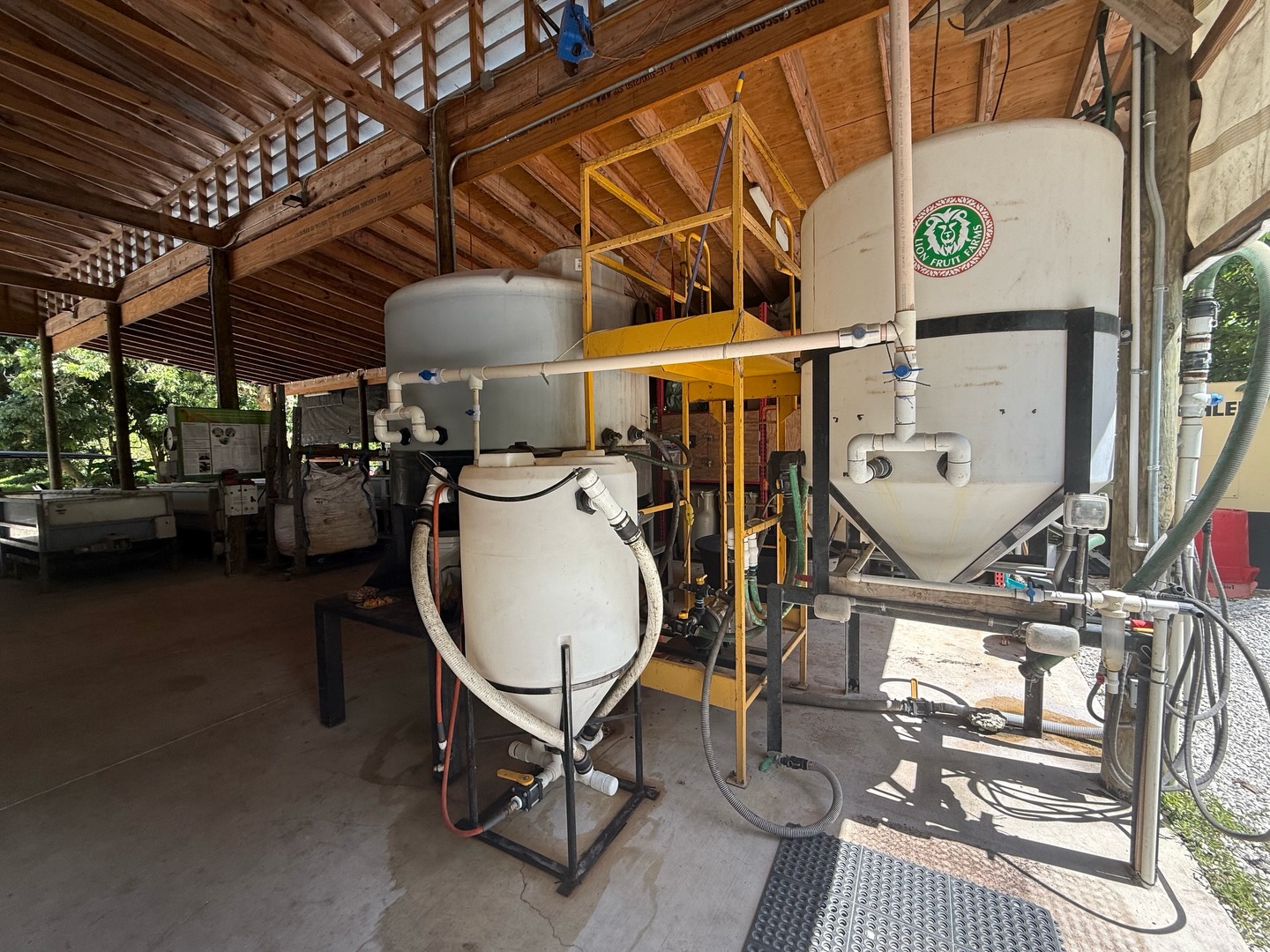 Brewing living soil in Miami ๐ชฑ๐
Vermicompost tea multiplies aerobic microbes that strengthen roots and improve nutrient cycling.