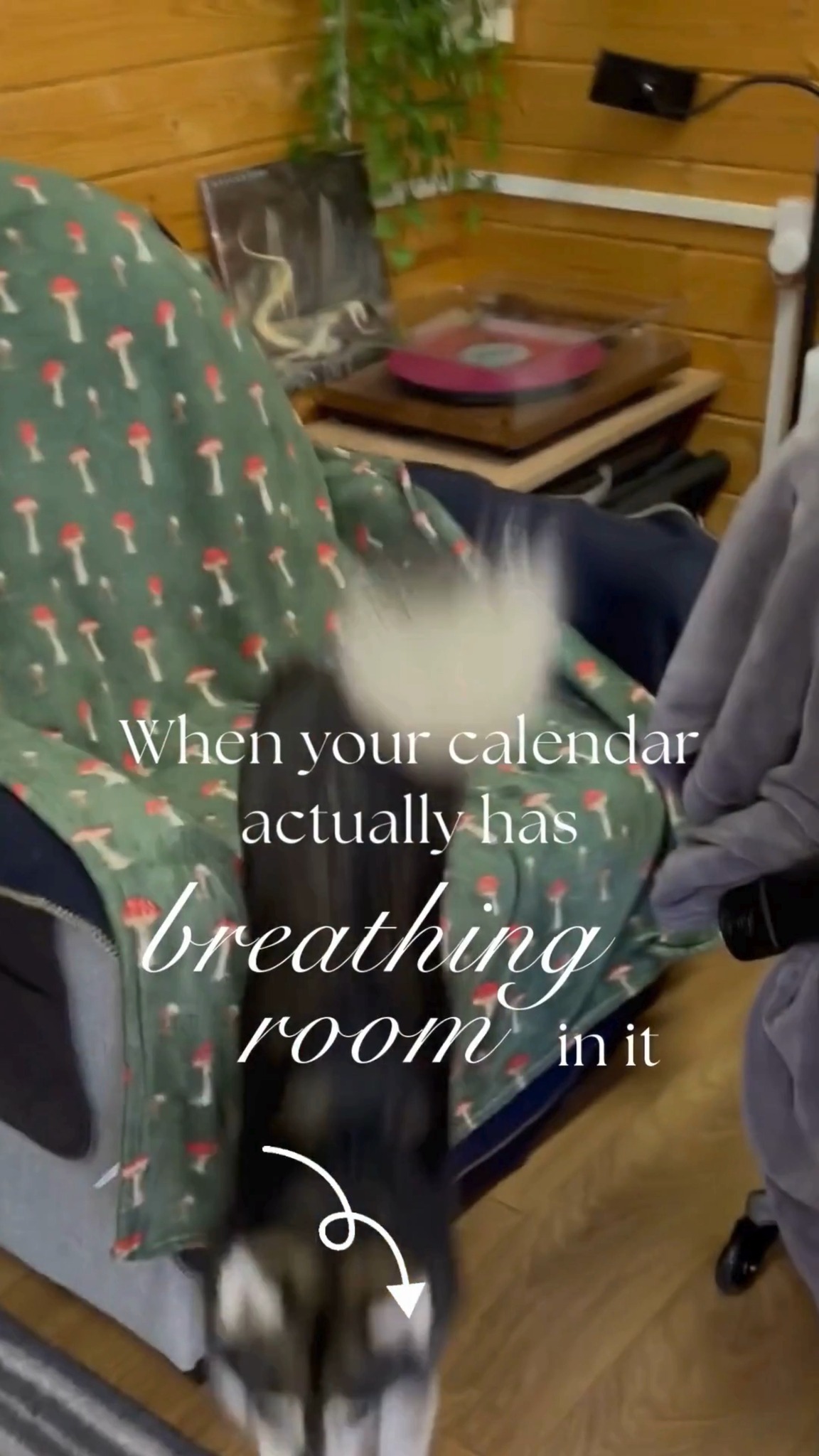 A stacked calendar is not poor planning. It is what happens when you are trying to serve every client who needs you while also fitting in the admin, travel, prep, and recovery time that nobody sees.
Back to back sessions look efficient on paper. In practice, they mean no time to write up notes while the details are fresh. No buffer if a reactive dog session runs over because the dog needed the extra ten minutes. No space to return a call from a client whose dog has regressed. No room for the practical reality of running between a puppy class in one town and a separation anxiety case fifteen miles away.
The gaps disappear because protecting them feels selfish when someone is waiting for help. A client emails asking for a Tuesday slot and your brain does the maths. You could move that assessment back half an hour. You could write the notes up later. You could skip lunch. It fits. Just.
Clean spacing is not about working less. It is about someone else holding the boundary around what your day can actually absorb. Someone who knows that a 4pm reactive dog session after a full day of back to back clients is not sustainable, even if technically it fits in the calendar.
When your diary has white space, it is because someone is protecting your capacity. Not because you finally learned to say no.