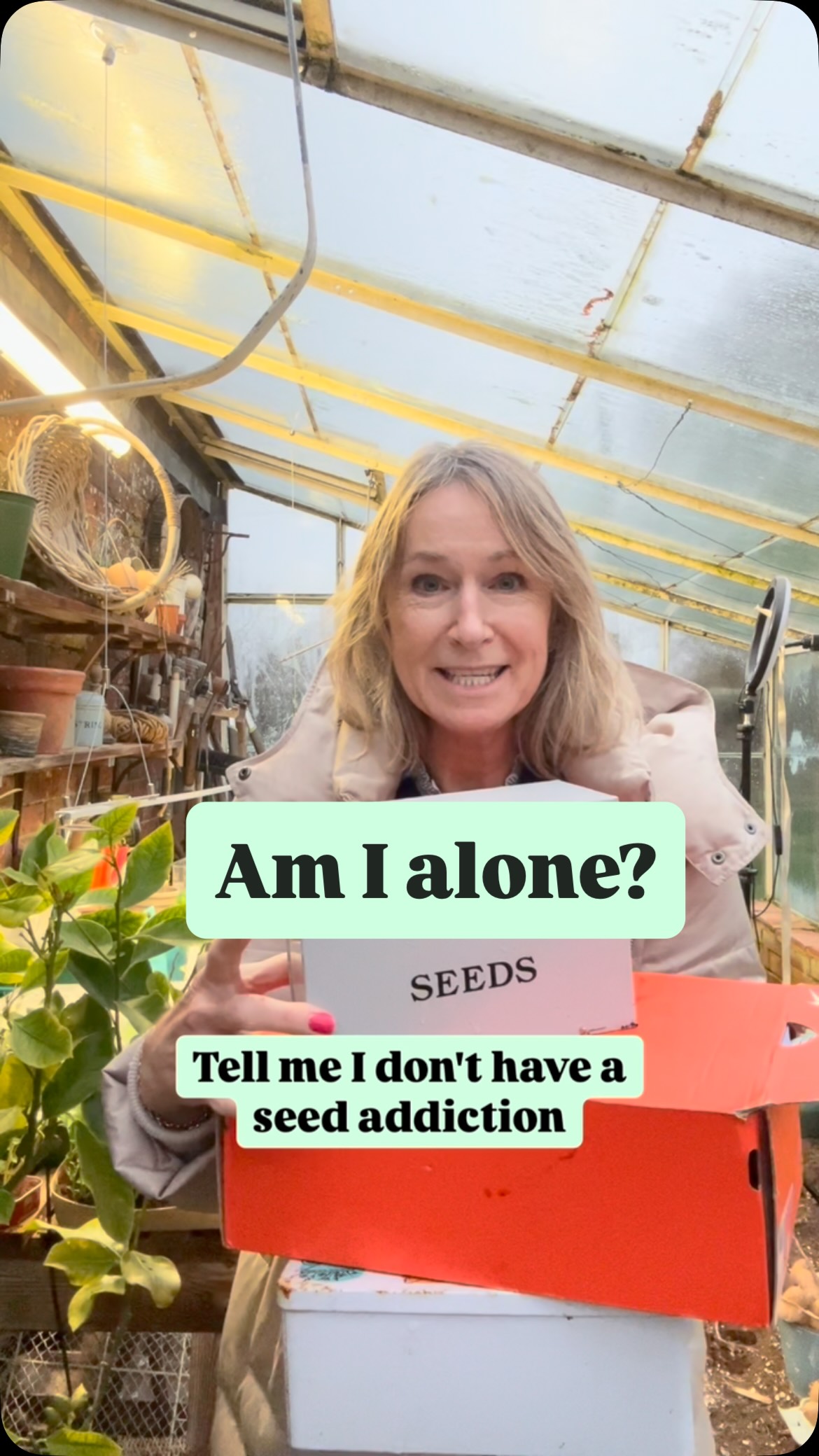 Seed addiction is real 😂 Anyone else with me? I have three seed boxes 🗃️ and still I order more seeds 🌱 #seeds #sowseeds #garden #grow