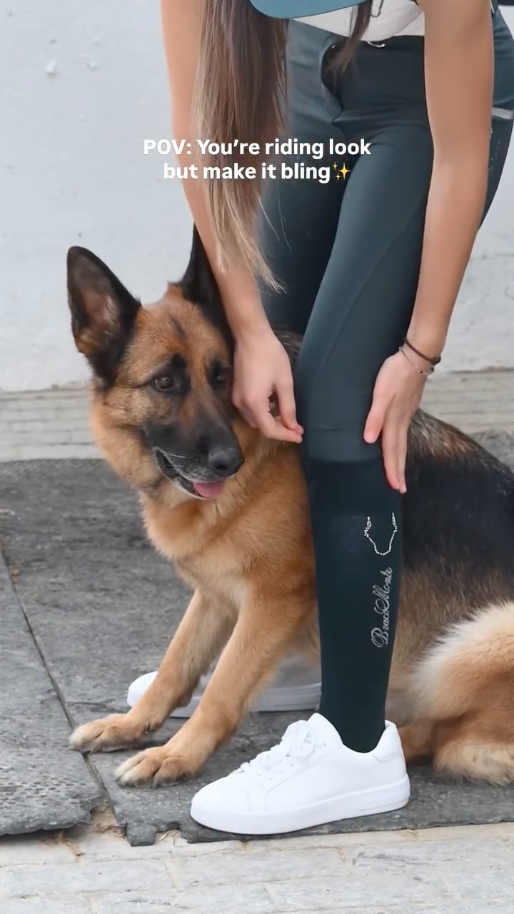 POV: Tu look para montar pero Bling ✨ Calcetines y gorrita con los mejores detalles 💚
POV:Your riding set but make it Bling ✨Socks and caps with the best details 💚
👸 @noelia.dressage
#equestrian #dressage #ridingoutfit #equestrianfashion #rider