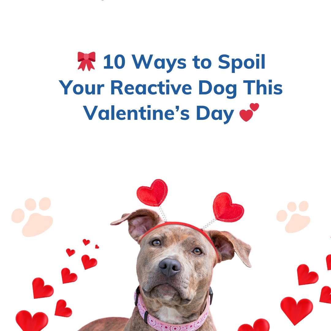 There are plenty of great ways to spoil your reactive Valentine today😍