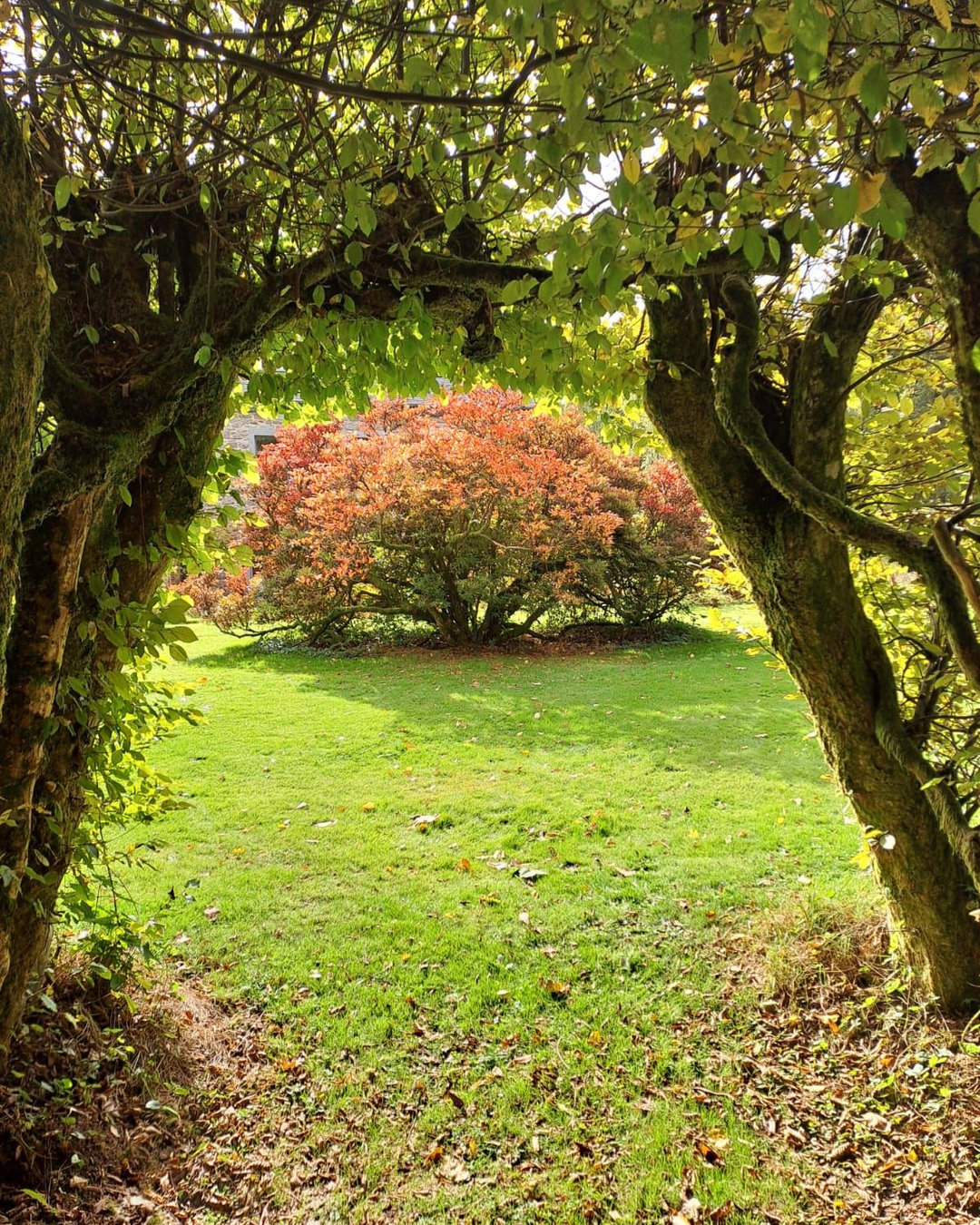 News Février/mars 2026