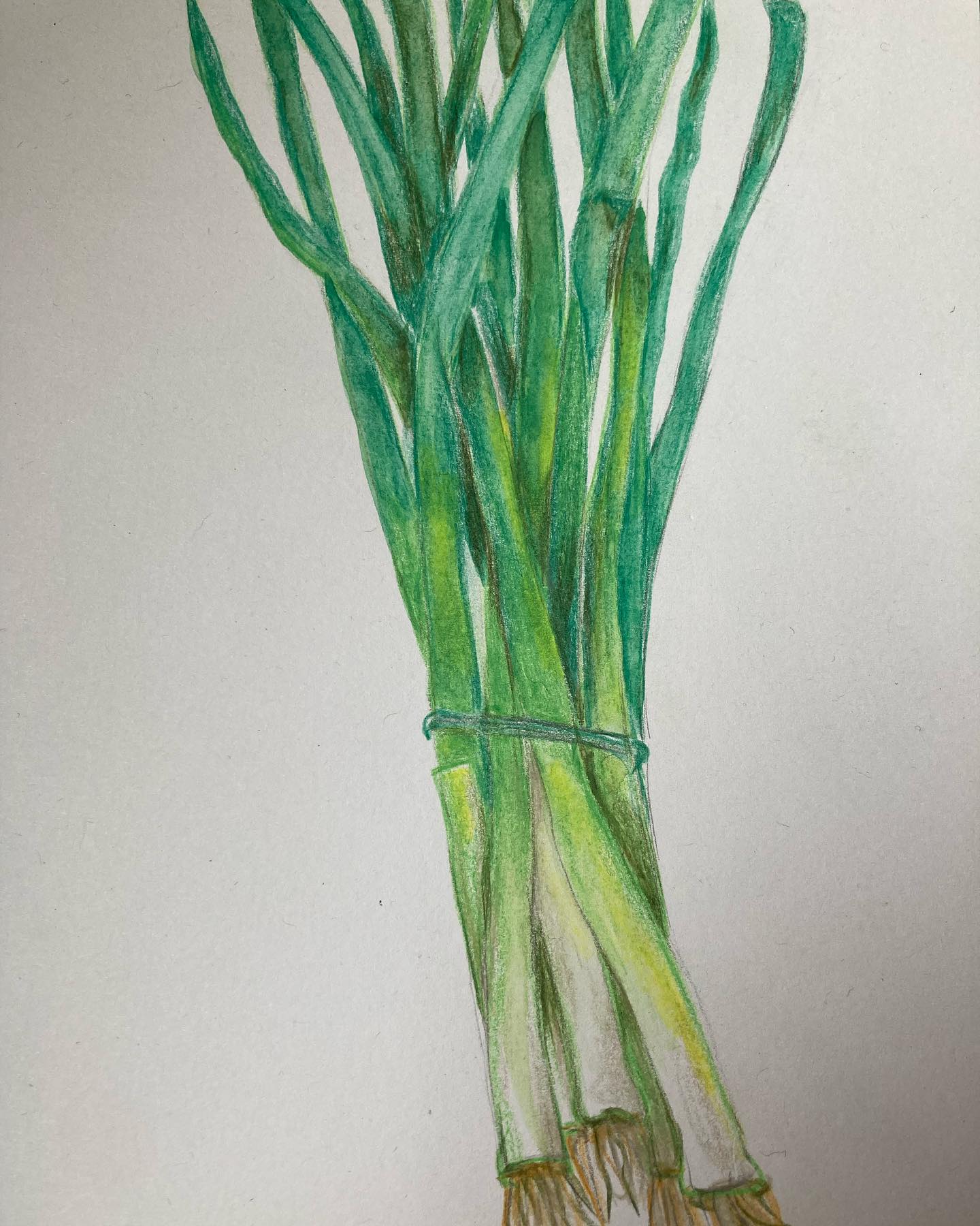 L’oignon vert de printemps (ou ciboule chinoise) selon la Diététique Chinoise!
Un dessin perso, ma recette préférée!
La ciboule chinoise (Cong Bai en chinois) est une variété de jeunes oignons frais, que l’on pourrait rapprocher de l’oignon vert, de la civette ou cébette.
Seront aussi beaucoup utilisées en cuisine et pour leurs arômes et bienfaits les tiges vertes, de saveur plus piquante et dispersante que l’oignon jaune.
La ciboule est de nature tiède, de saveur douce et piquante, de tropismes Estomac/ Poumon/ Rein/ Foie. Elle est intéressante pour libérer la surface, chasser le froid, favoriser la transpiration. Elle réchauffe le Foyer Moyen (Rate/ Estomac), et chasse le froid aussi sur la sphère digestive, traitant les douleurs abdominales ou gastriques par froid sur l’Estomac, ainsi que les hernies Shan.
Elle tonifie le Yang en général, mais surtout le Yang des Reins, pour traiter les lombalgies, les œdèmes, l’impuissance.
De par sa saveur piquante, elle mobilise le QI (l’Energie), favorise la circulation et active le Sang, en cas de stases!
Attention: comme l’oignon, ne pas en abuser en cas de prurit urticaire ou d’allergie!
Ma recette préférée: Le tofu soyeux froid aux jeunes oignons de printemps! (Ici servi avec du riz et du chou pakchoi sauté au wok)
#ciboule #oignons #oignon #oignonvert #cebette #alium #congbai #oignondeprintemps #bienfaits #alimentsanté #alicaments #dietetiquechinoise #mtc #foodtherapist #tcmfoodtherapy #madreperlamtc
