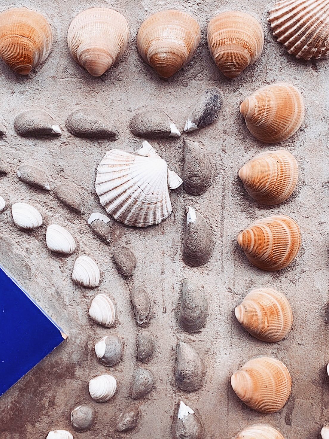 • BAISERS ET COQUILLAGES •
2h11, je me réveille en pleine nuit avec des rêves encore tout frais dans mon esprit.
C’est le signe que je sors petit à petit enfin de la fatigue accumulée par les réveils imposés.
Merci les vacances et les réveils naturels. 🙏🏼
Mon corps retrouve enfin le chemin des rêves et c’est vraiment un monde que je trouve fascinant et rempli de messages.
Vous savez que c’est même la raison numéro 1 de pourquoi je suis devenue professeure de Yoga Nidra ?
Littéralement, Nidra signifie « sommeil » en sanskrit.
On oscille alors entre éveil et descente douce vers le sommeil sans jamais y plonger vraiment, on est alors tout à fait conscient de tout ce monde onirique qui est en nous.
Des solutions s’offrent.
Des idées nous trouvent.
Des visages nous apparaissent.
Des couleurs, des sensations, des chansons, des souvenirs…
L’exploration est infinie.
Dans les séances que je propose, le pouvoir du son vous accompagne également et on ressort véritablement régénéré, prêt.e.s à continuer notre journée avec clarté.
Envie d’essayer ? Ou d’y goûter de nouveau ?
Prochain nidra en ligne pendant l’atelier UN TEMPS POUR SOI dimanche 1er mars de 10h30 à 12h sur Zoom.
Les inscriptions sont en biographie et pour toute question, n’hésitez pas à m’écrire en commentaire ou en privé.
🙏🏼✨