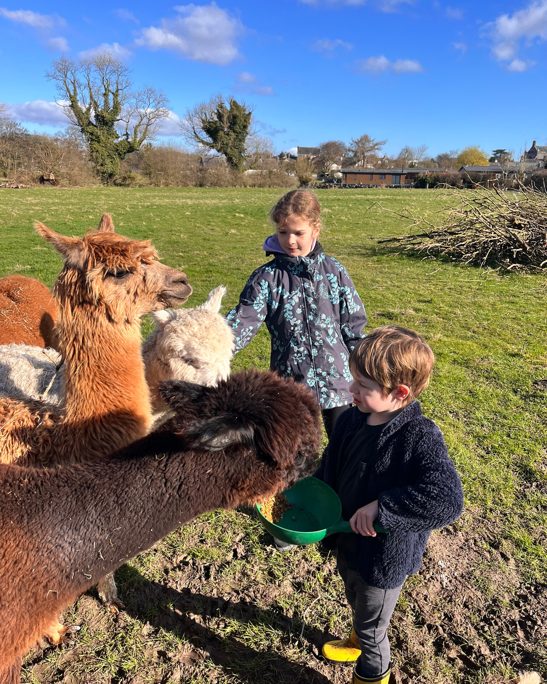 Meet the family behind the fleece — real stories, farm life and the sustainable care that makes our alpacas so loved. Watch short interviews, learn what to expect when you visit, and save the post for your weekend plans. Link in bio to check weekend availability. 🦙🌿📹
Which clip are you most excited to see? Tell us below and share with Cartmel and Grange-over-Sands friends! #Cartmel #GrangeOverSands #AlpacaFarm #SustainableFarming #MeetTheFamily #FarmVisit #WeekendPlans #LinkInBio