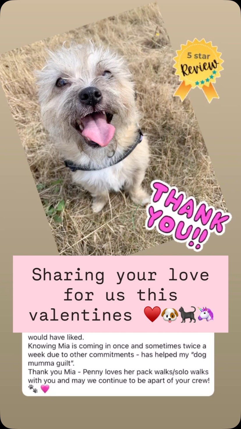 ♥️ Feeling grateful on Love Day…
Sharing all your kind words, messages and a few of our wonderful reviews. We are so thankful to be your chosen pet service provider and get to look after such amazing animals 🐾✨ 🐾🐶🐈⬛🐴🐰🐠🐹
#valentines #loveday #sharingthelove #petcareprovider