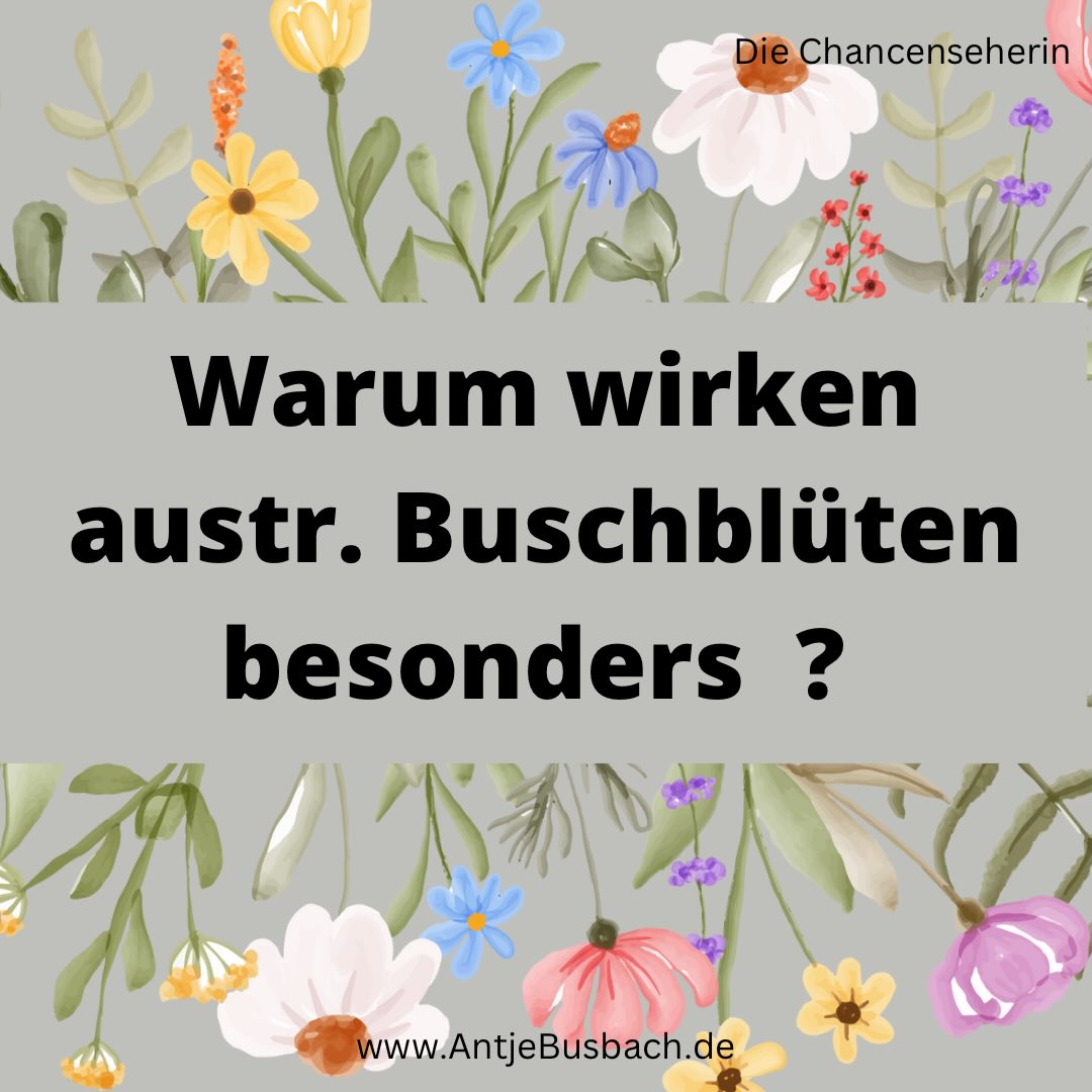 Buschblüten wirken oft schneller und intensiver als viele andere Blütenessenzen.
Du bist die wichtigste Person in deinem Leben.
Manchmal reicht ein einziger echter Moment – und du erinnerst dich wieder, wer du bist.
Deine Lebensqualität verbessert sich. Du wirst lebendig!
Herz über Kopf wieder leben. Direkthilfe in Krisenzeiten.
https://kurzlinks.de/wo23
Ich zeige dir wie du wieder in dein Strahlen kommst, trotz eines stressigen Alltags. Du lernst, wie du Krisen spielend meisterst, in dem ich dir meinen stärkenden Werkzeugkasten für Zuversicht und Lebensfreude an die Hand gebe, damit du ein rundum erfülltes Leben genießt.
* Der Beitrag war ein Augenöffner? Teile ihn doch in deiner Story und mit deiner Community!
* Speicher dir den Post ab, damit du immer wieder drauf zurückgreifen kannst.
* Der Beitrag gefällt dir? Dann gib mir gerne ein Like.
* Markiere die Person, die diesen Beitrag nicht verpassen darf!
Feel Freude und fühl Vergnügen
Antje Busbach - die Chancenseherin
#chancenseherin #AntjeBusbach #frauenimstress