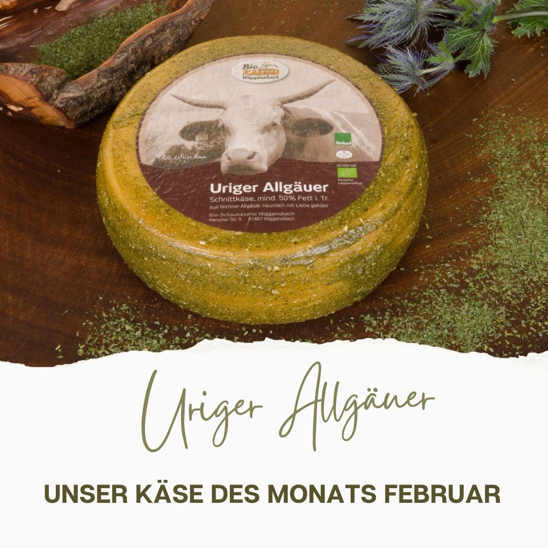 Ehrliches Handwerk, moderne Veredelung🙌🧀 Unser Bio-Heumilch Schnittkäse ist mit einem besonderem Käse-Coating ummantelt, welches mit Schabziger Klee versehen ist. So kann sich unser Käse während der Reifung seinen einzigartigen Geschmack aus dem Coating „ziehen“. Seine cremig nussige Note machen seinen unverwechselbaren Geschmack aus. #urig #allgäu #bioheumilchkäse #käsedesmonats