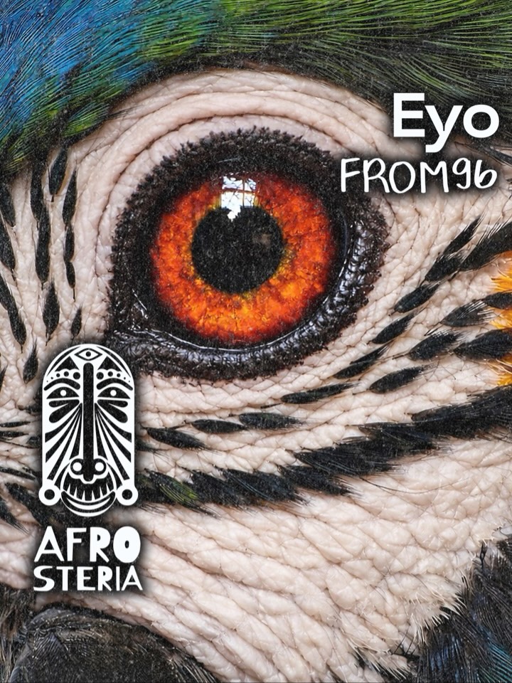 From96 – Eyo
Afrosteria welcomes From96, a Brazilian artist now based in Portugal, with a deep and emotional Afro house journey.
“Eyo” blends warm percussion, a growling bassline and subtle vocal textures into a groove that flows with intention.
This one moves between introspection and dancefloor energy — music you can travel with, not just play.
Deep, organic and full of feeling.
Already getting love across the scene, including support from Black Coffee.
Out now on Afrosteria 🖤
#Afrosteria #From96 #Eyo #AfroHouse #DeepGroove