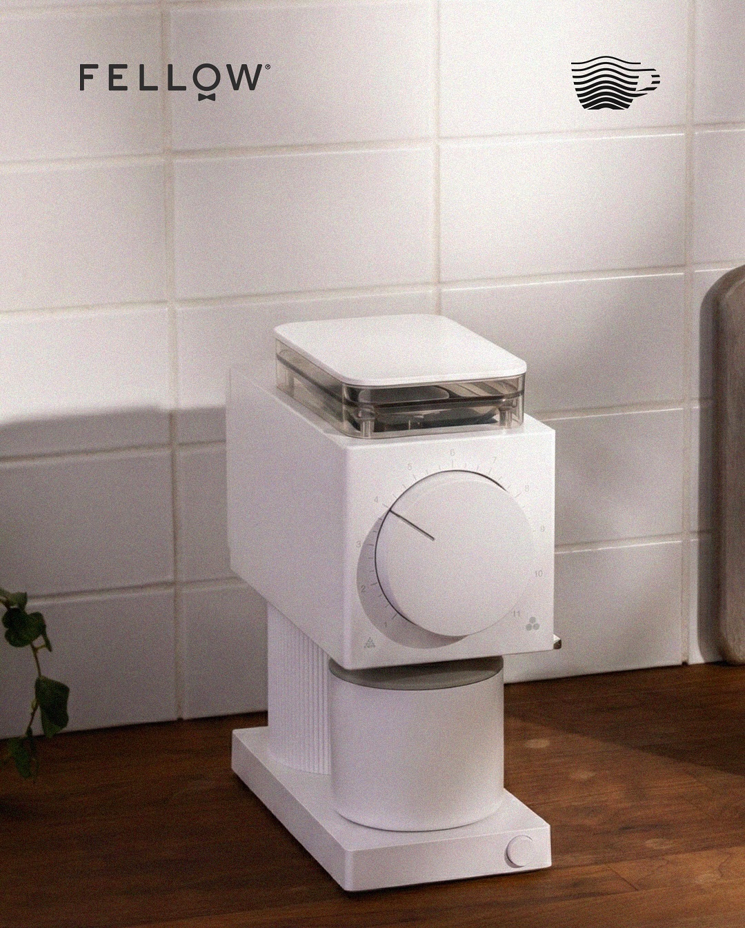 Precisión que transforma tu café. La Fellow Ode Brew Grinder Gen 2 está diseñado para métodos de filtrado, con molienda uniforme, silenciosa y estable en cada preparación.
Minimalista por fuera.
Impecable por dentro.
Para quienes cuidan cada detalle de su ritual.
📍 Disponible en nuestros showroom de Asunción y CDE o en www.xpecialty.com.py
#Fellow #OdeGrinder #BrewCoffee #CoffeeLovers #SpecialtyCoffee