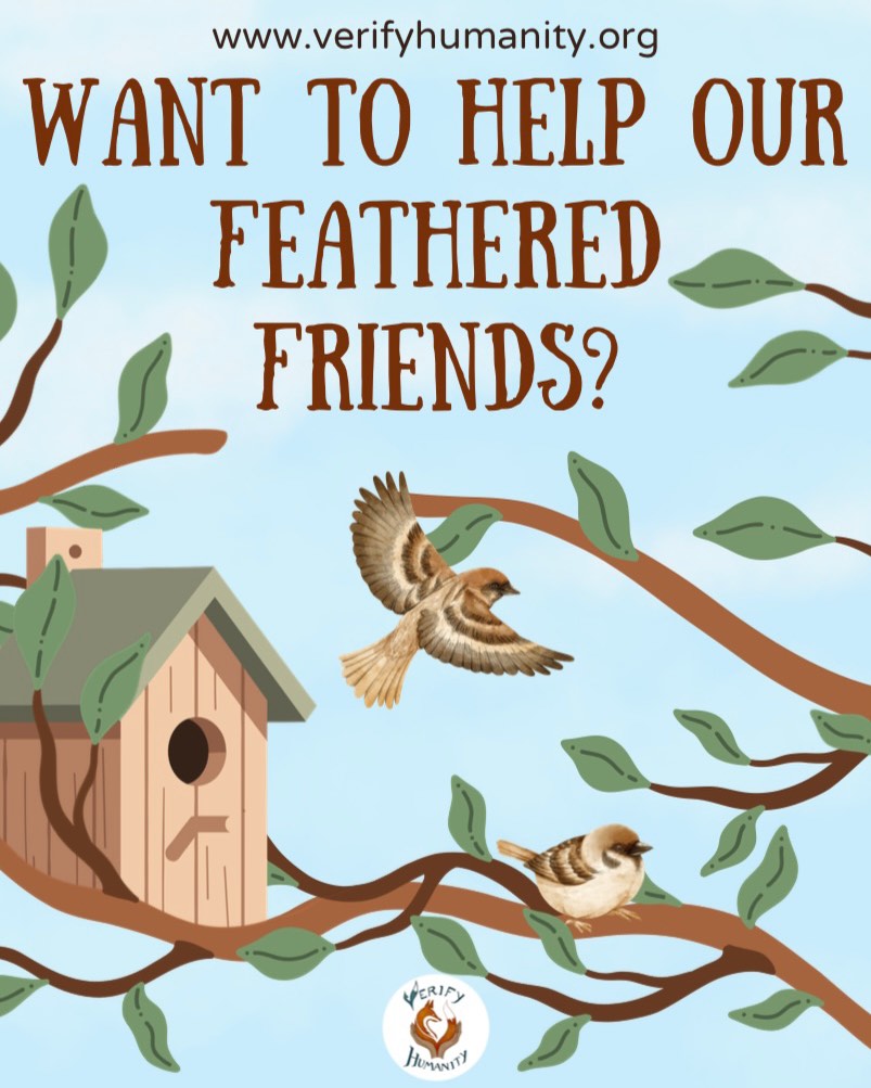 It’s National Nestbox Week!
From 14th to 21st February, we celebrate our returning summer visitors and give them a helping hand.
Migrating birds like swallows, house martins, chiffchaffs and sand martins will soon be on their way back to the UK to breed.
Putting up nest boxes now gives birds a safe space to raise their young during the breeding season, which runs from March to September.
Let’s make gardens and green spaces welcoming homes for wildlife! 🐣
#NationalNestboxWeek #Gardening #Britain #BirdWatching #Wildlife