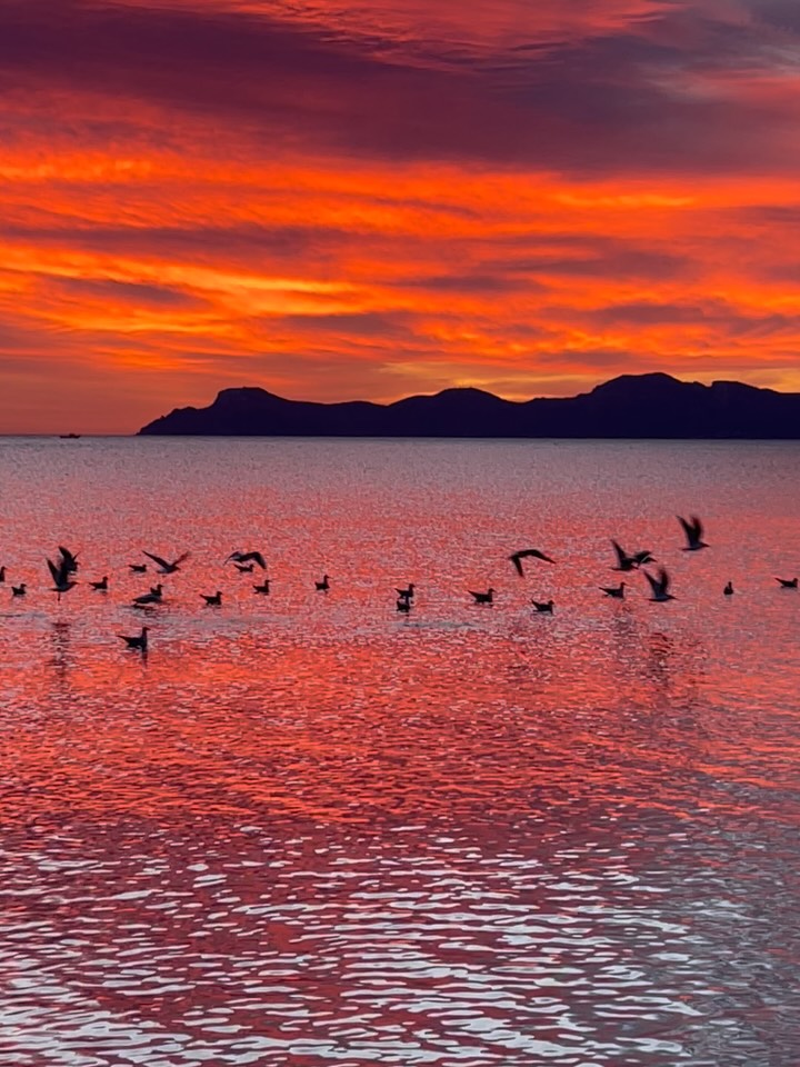 La magia del amanecer ❤️🔥