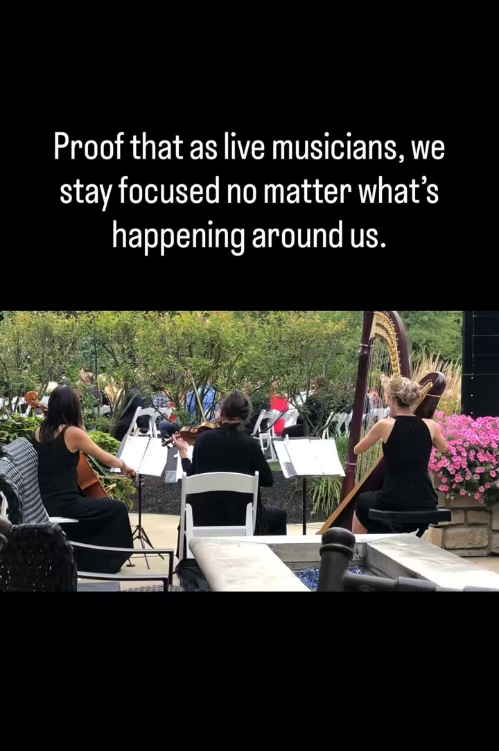 Turn the sound on for this one 👂🎧📣
A stunning bridal entrance moment brought to you by live strings…
and a discussion about spending someone else’s money happening in the background! 😂
There was a group of ladies sitting at a table behind us, and I was surprised the video picked all of this up! Too funny!
#SoundOn #YouCantScriptThis
#musicianlife #weddings
#youcantmakethisstuffup