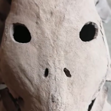 400-Year-Old Alien Skeletons Found Under Mexican Church?
In a stunning new development today that’s reverberating through the UFO community and scientific circles alike, Coulthart has been presented with images and testimony claiming that 400‑year‑old alien skeletons may have been unearthed beneath a church in Mexico, a site allegedly linked to an ancient UFO crash.
Is this real or fake?
#alienskeleton #rosscoulthart #alienskeletonmexico #aliens #aliensarereal #arealiensreal #ufocrash #ufo #uap #ufology #exosolariaunion