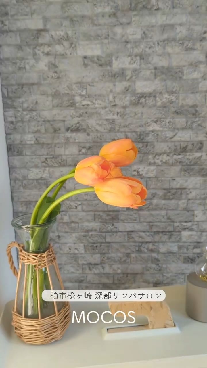 千葉県柏市のMOCOSです🌸
暖かい日が増え、少しずつ春を感じる季節。
花粉や自律神経のゆらぎでなんとなく疲れが溜まる時期でもありますよね。
すべてのコースは、
当日の体調やご希望を伺いながら、
深部リンパマッサージ、炭酸パルスリフトフェイシャル、ドライヘッドスパなどを組み合わせ、
その日の状態に合わせた内容を調整するオーダーメイド制です。
ご来店時に、最適な施術をご提案いたします☺️
気持ちのよい春を過ごせますように。
______________________________________
柏市松ヶ崎/県立柏中央高校すぐ
深部リンパmocosモコス
🏡ほんの5畳の小さなサロン
✳ご予約はLINEから♪
✳不定休9:00-17:00
✳女性専用✳駐車場完備
#リンパマッサージ #自宅サロン #柏エステ #柏リンパ #柏フェイシャル