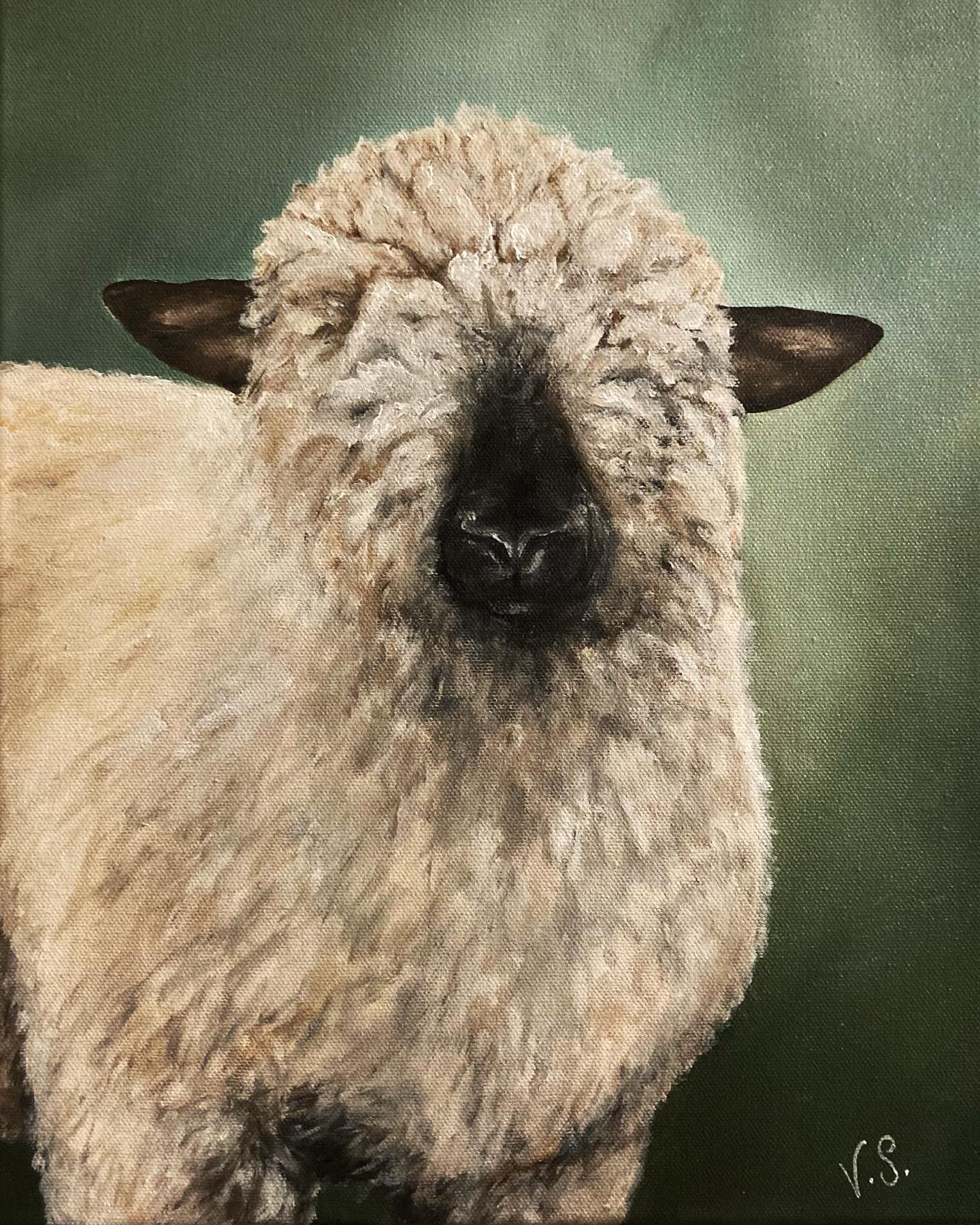Introducing this woolly beast - a characterful Hampshire sheep commissioned for a birthday present. Can’t help but love his cute yet scruffy look, so much so that his eyes were hidden behind his fluff!
Oil on canvas 12x16”
•
•
•
#sheep #hampshire #cotswolds #commission #art #artist #oilpainting